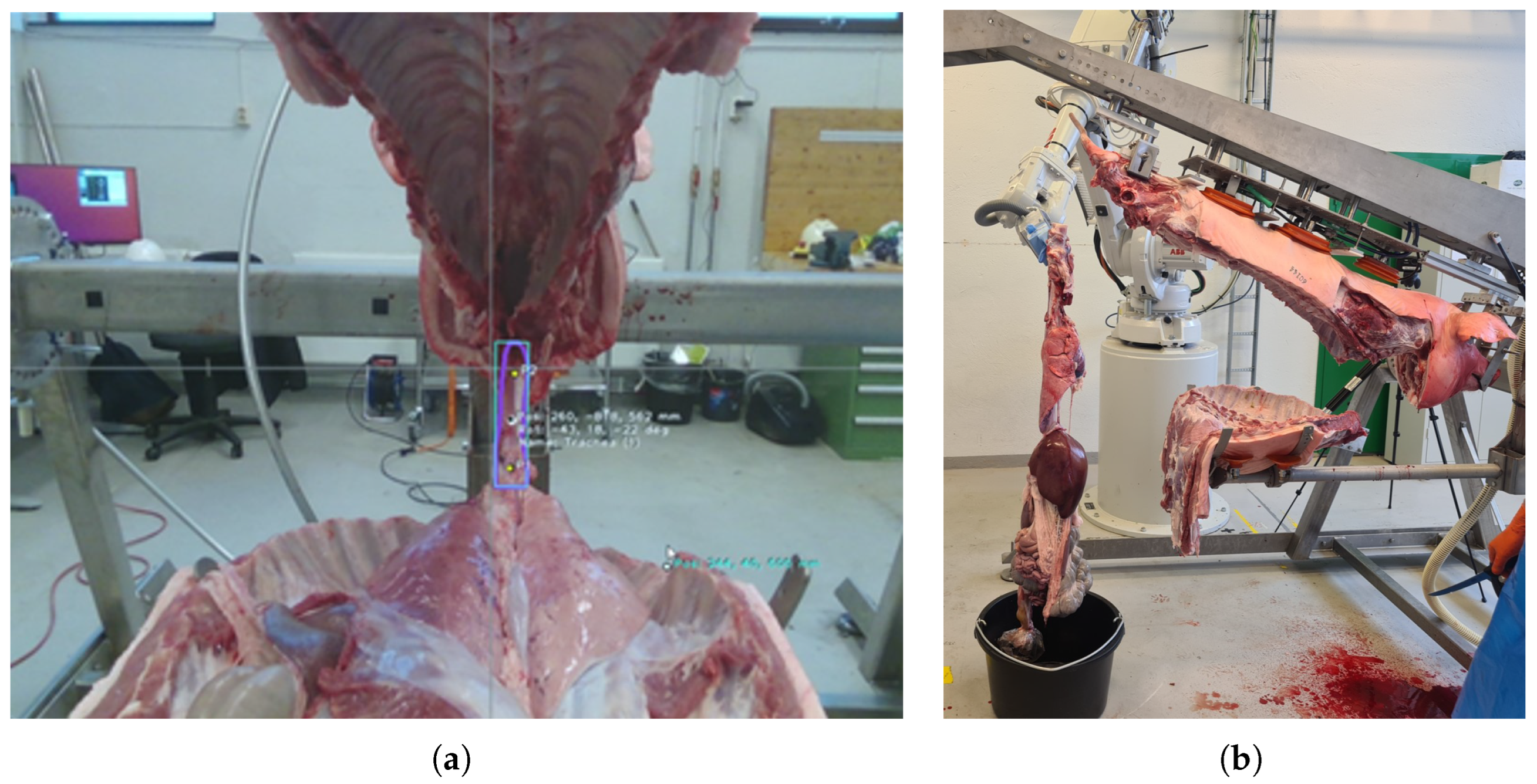 Sensors 24 04631 g004