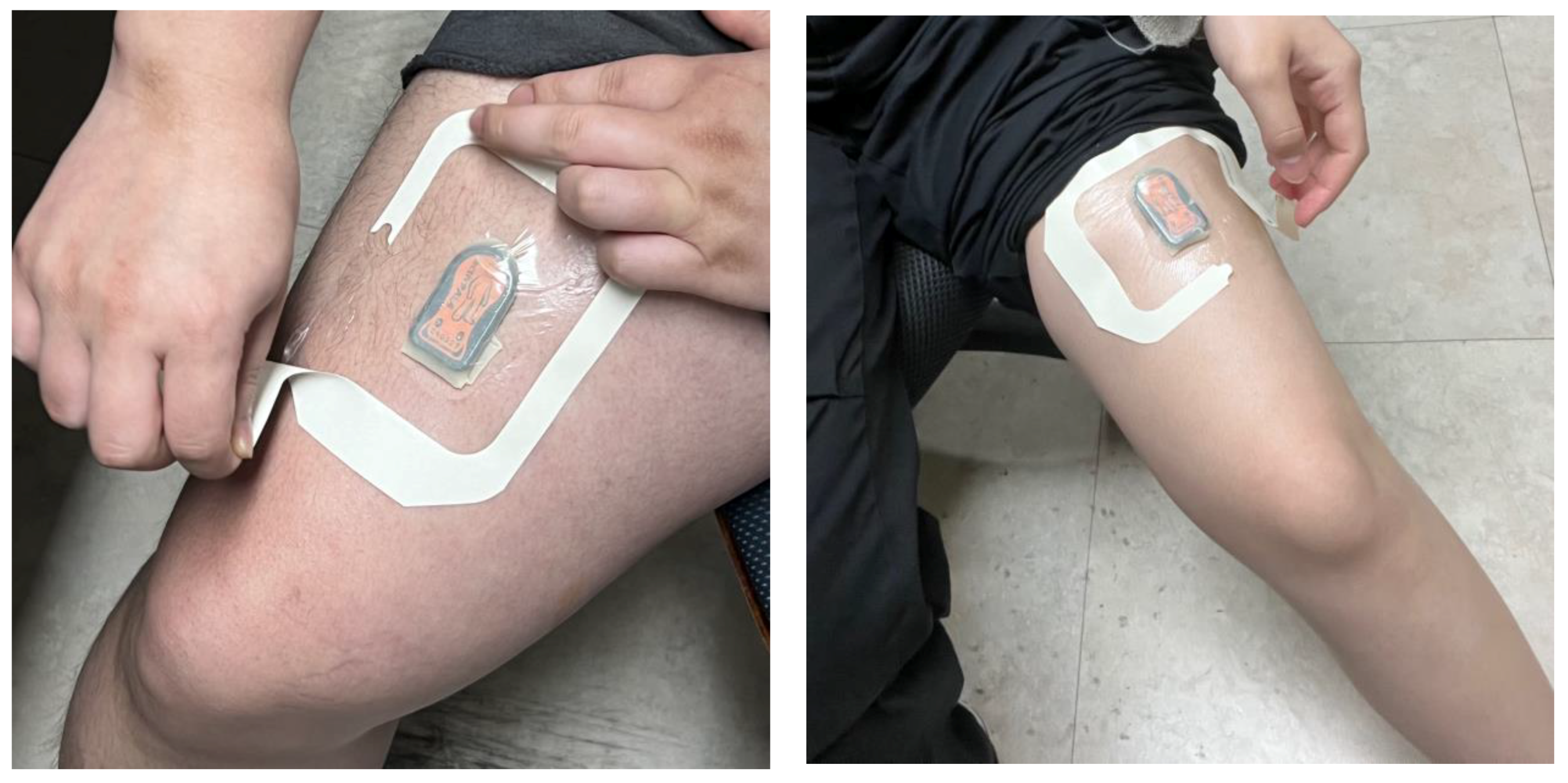 Sensors 24 04658 g002