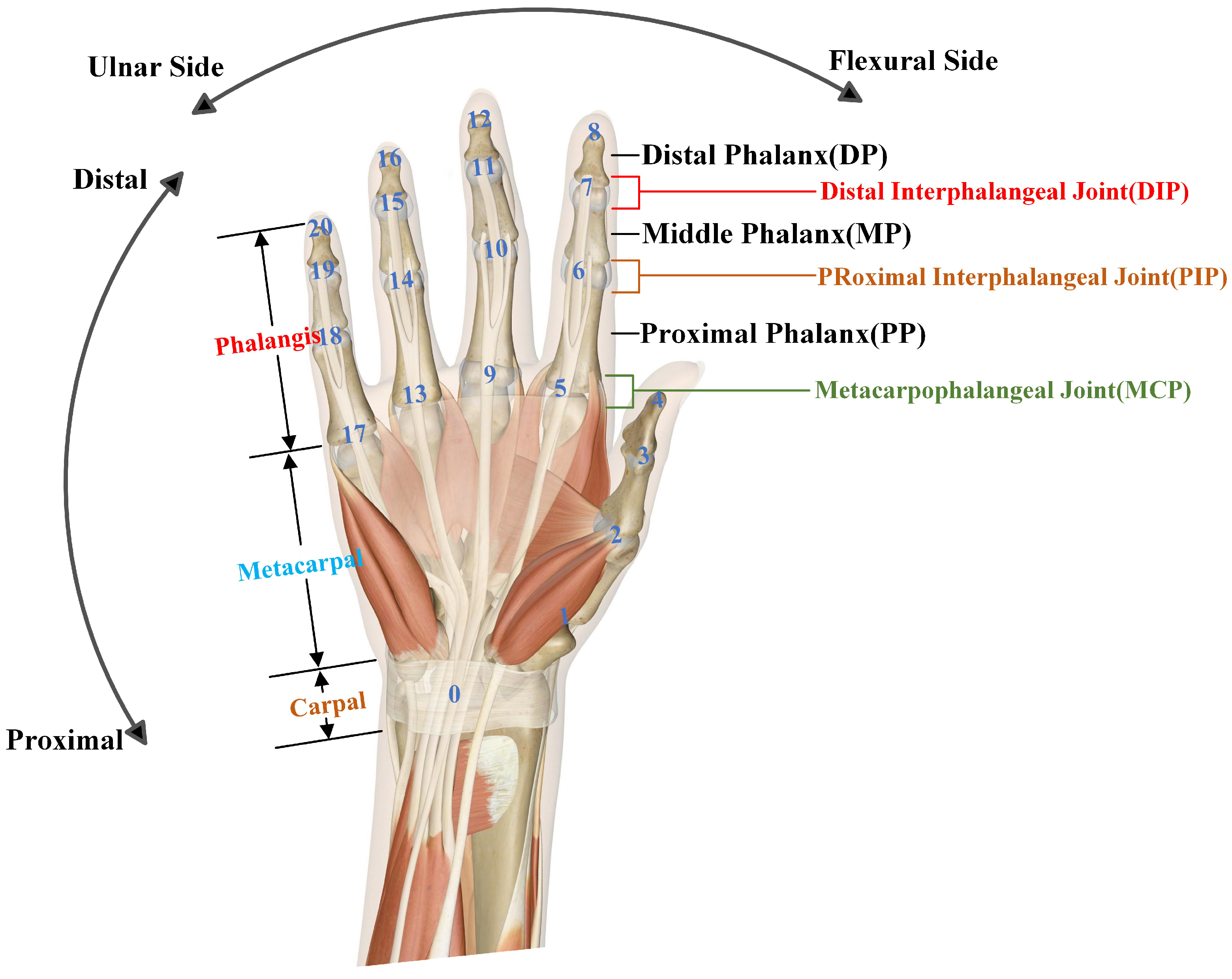Sensors 24 04745 g004