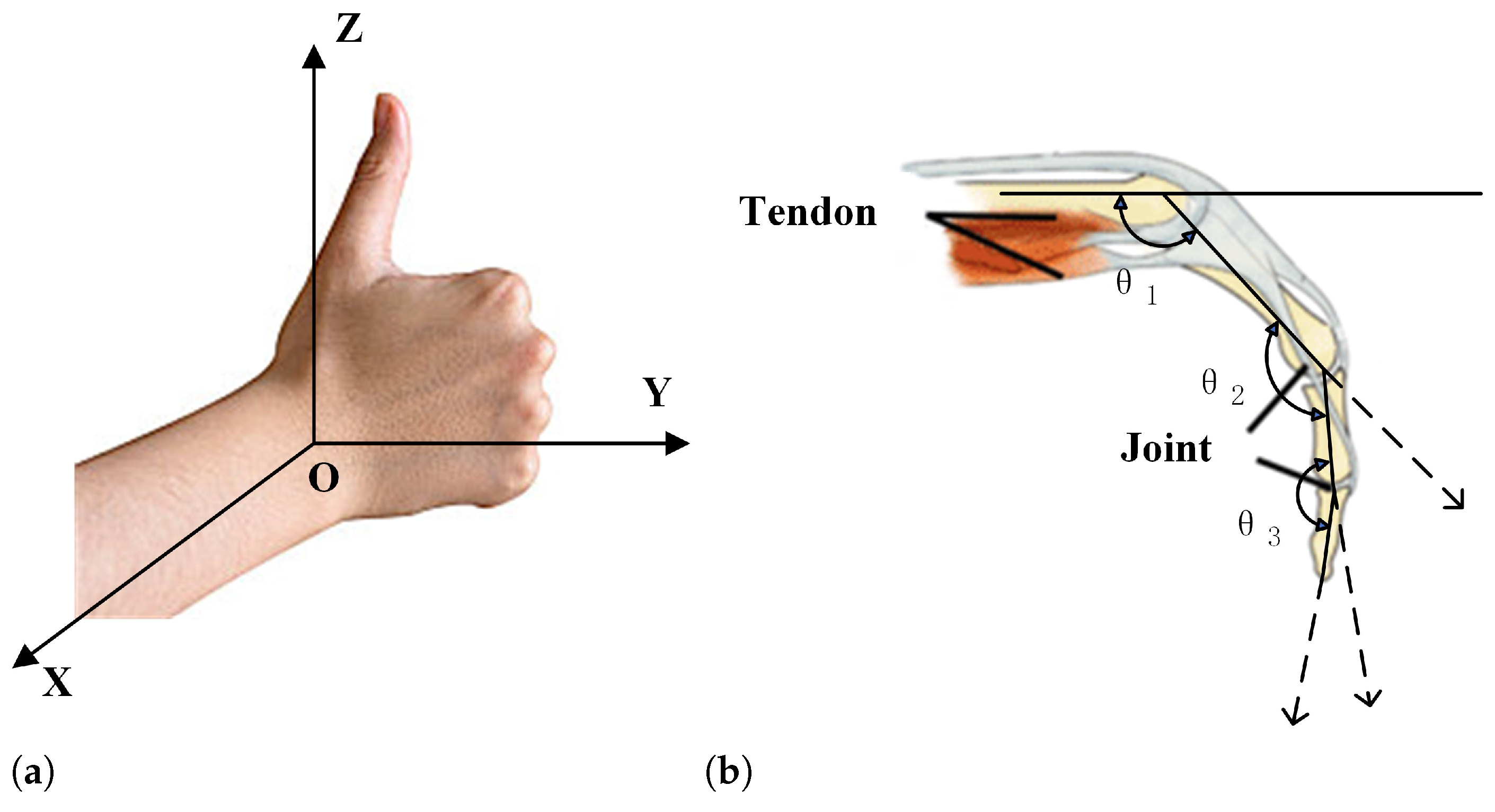 Sensors 24 04745 g005