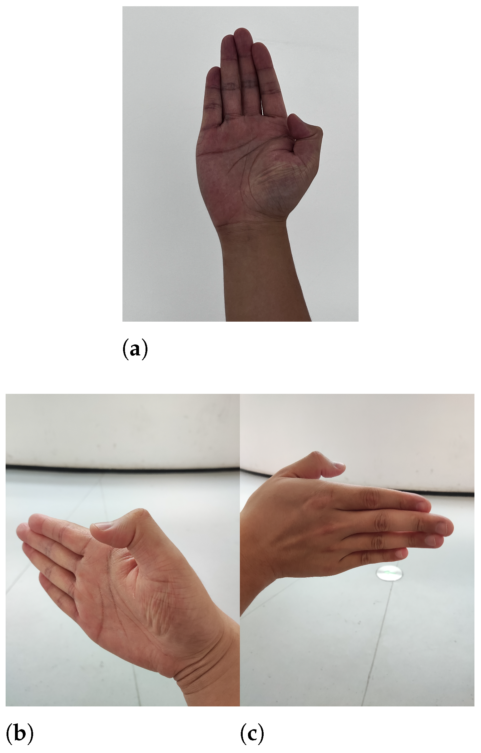 Sensors 24 04745 g006