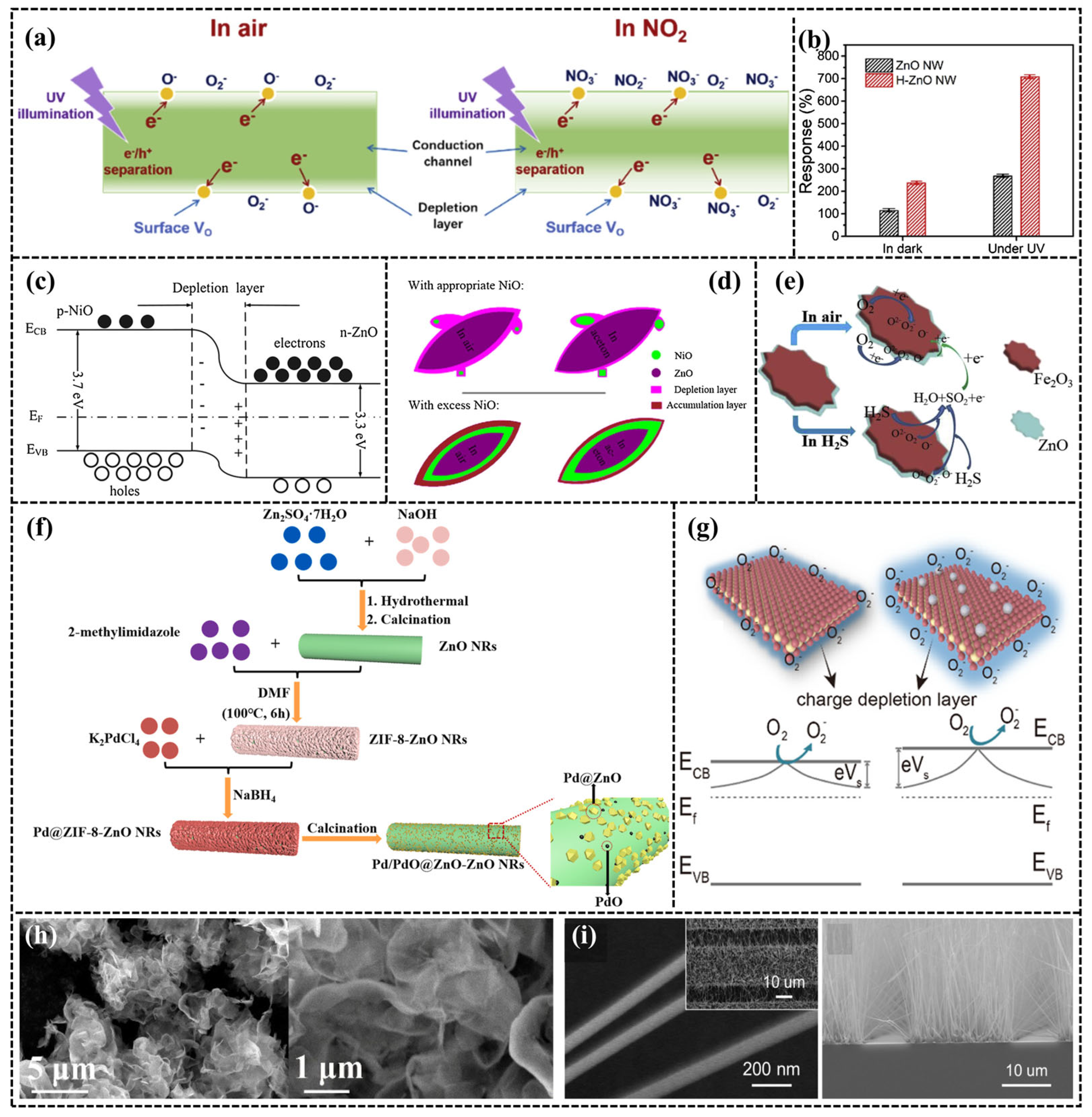 Sensors 24 04806 g005