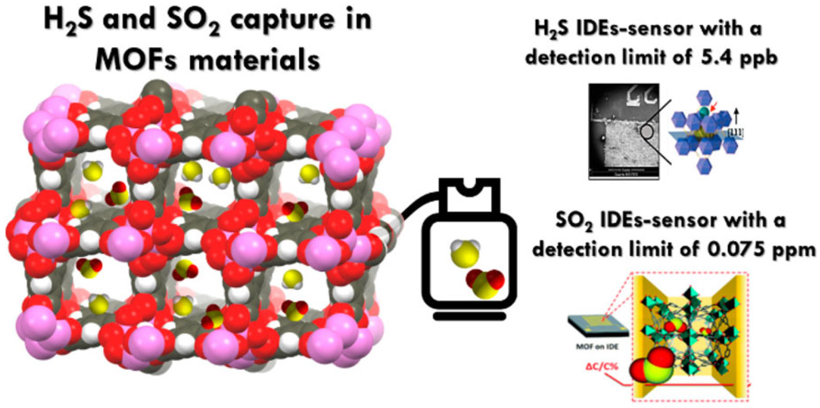 Sensors 24 04806 g008