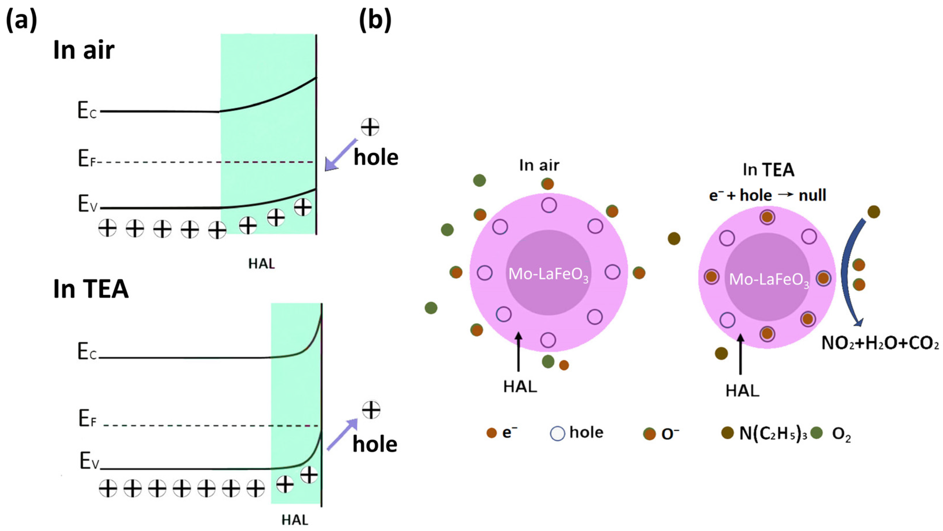 Sensors 24 04851 g009