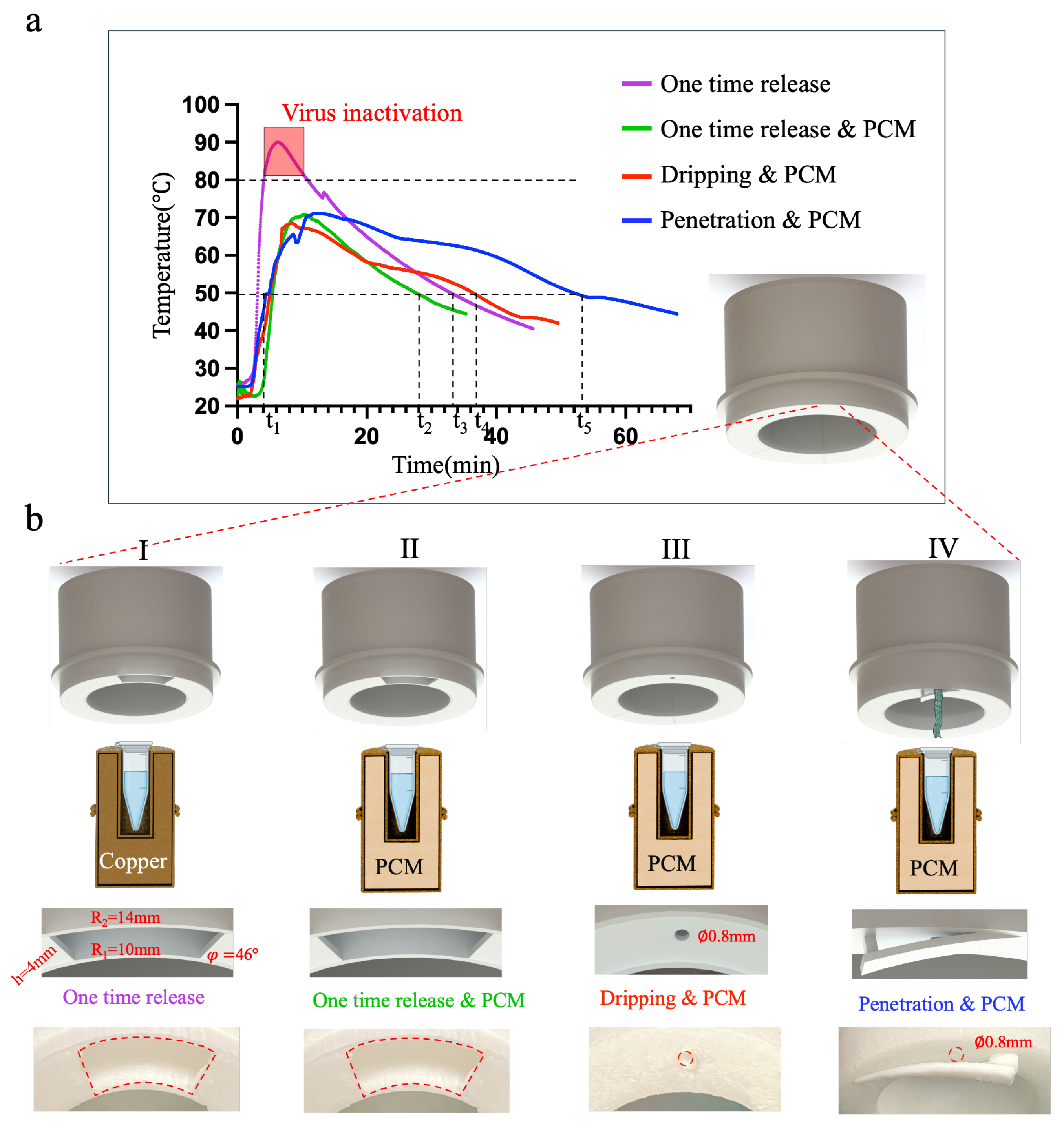 Sensors 24 04912 g004