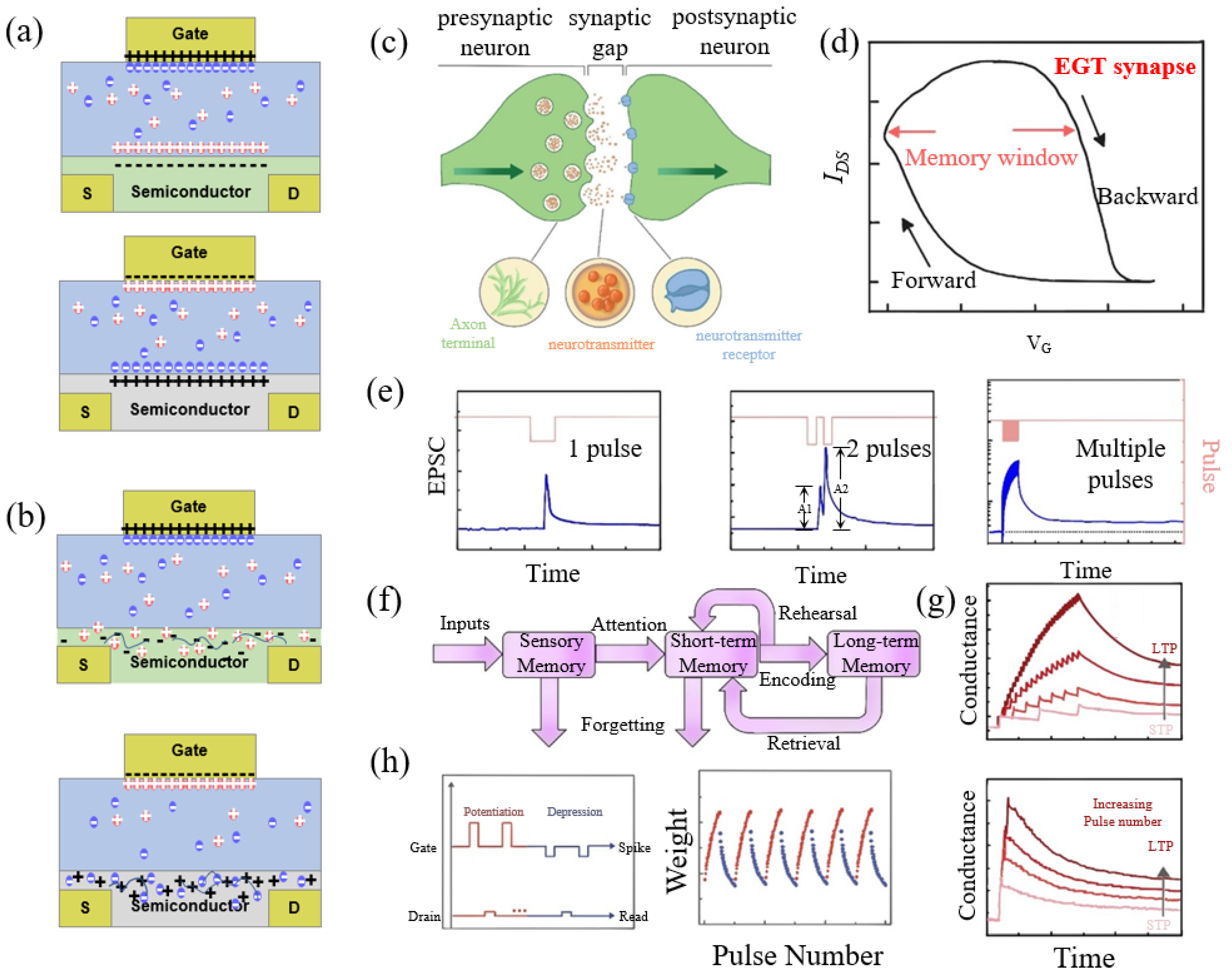 Sensors 24 04915 g002