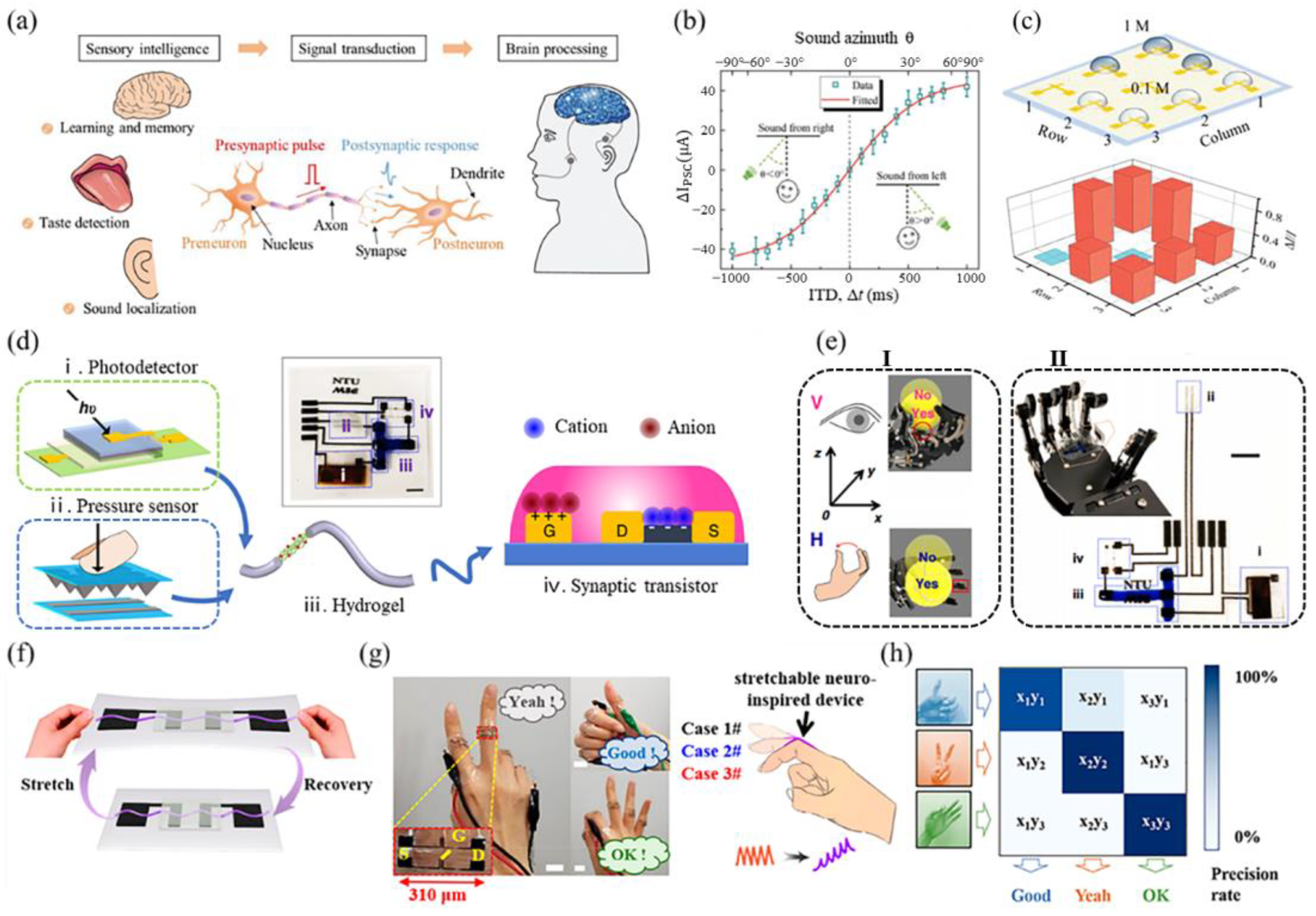 Sensors 24 04915 g007
