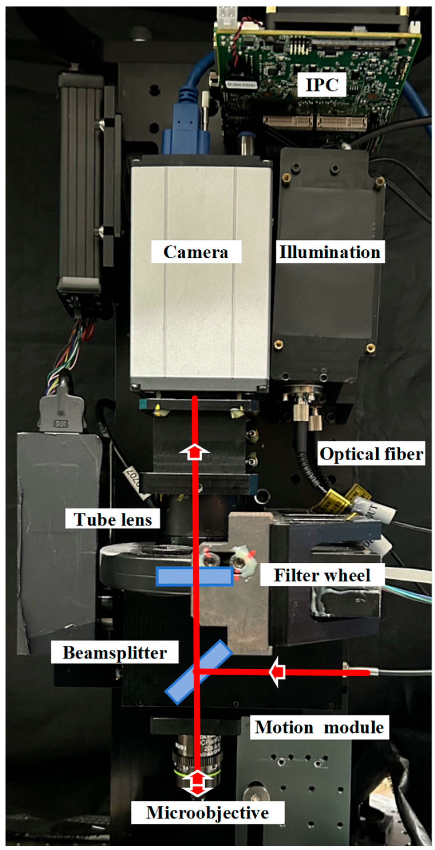 Sensors 24 05010 g005