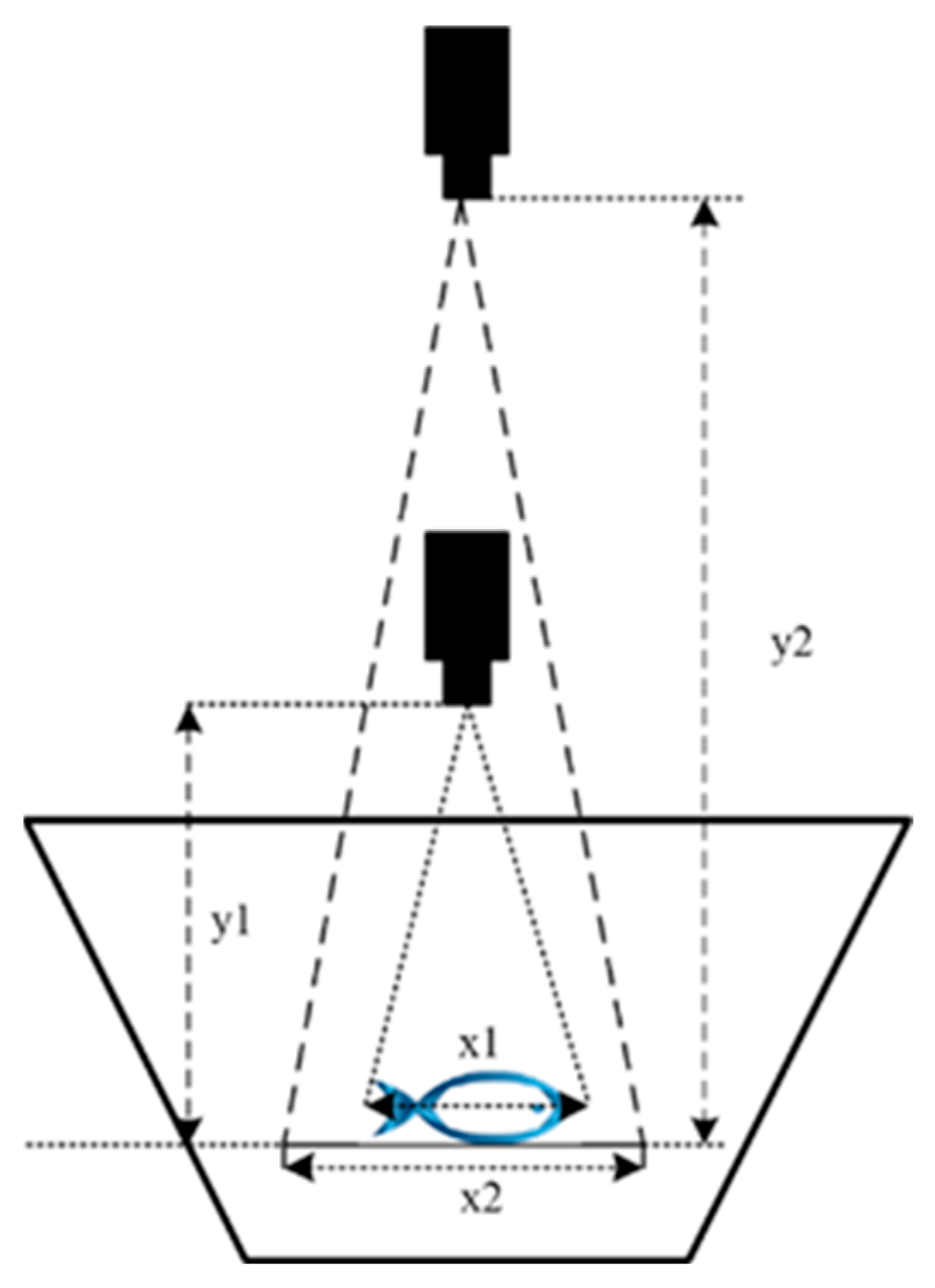 Sensors 24 05037 g006
