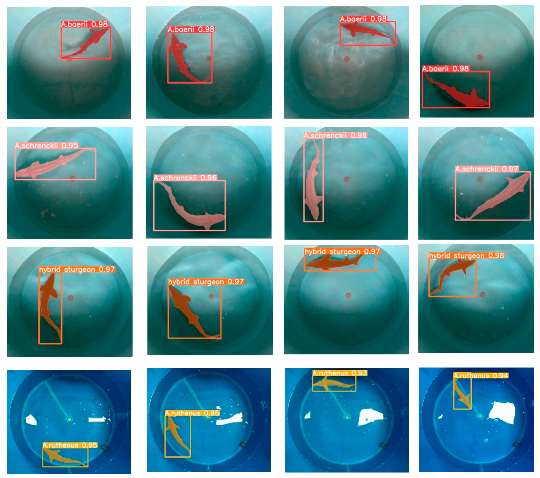 Sensors 24 05037 g008