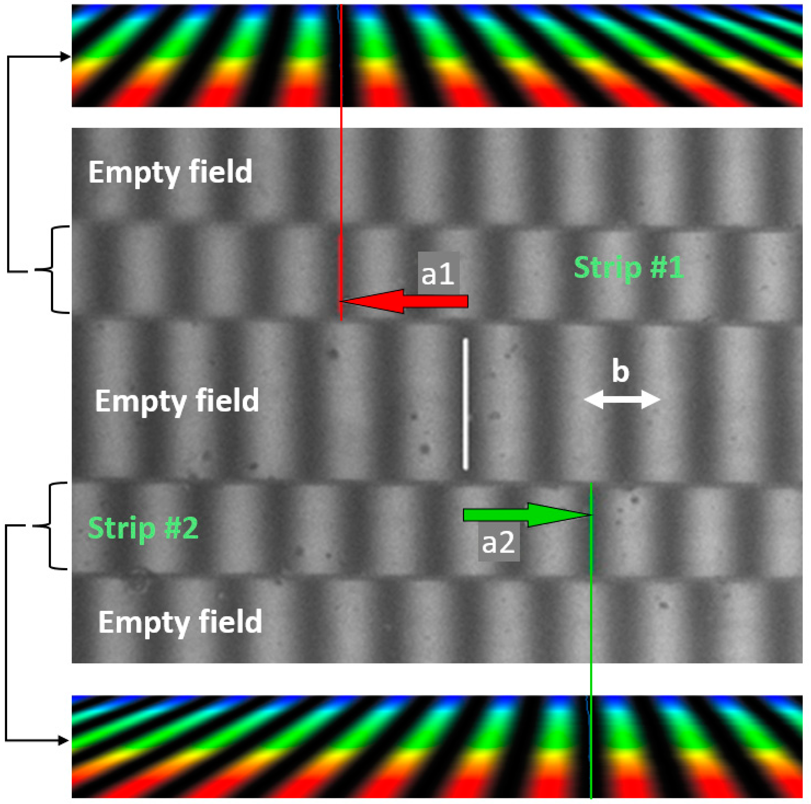 Sensors 24 05082 g005