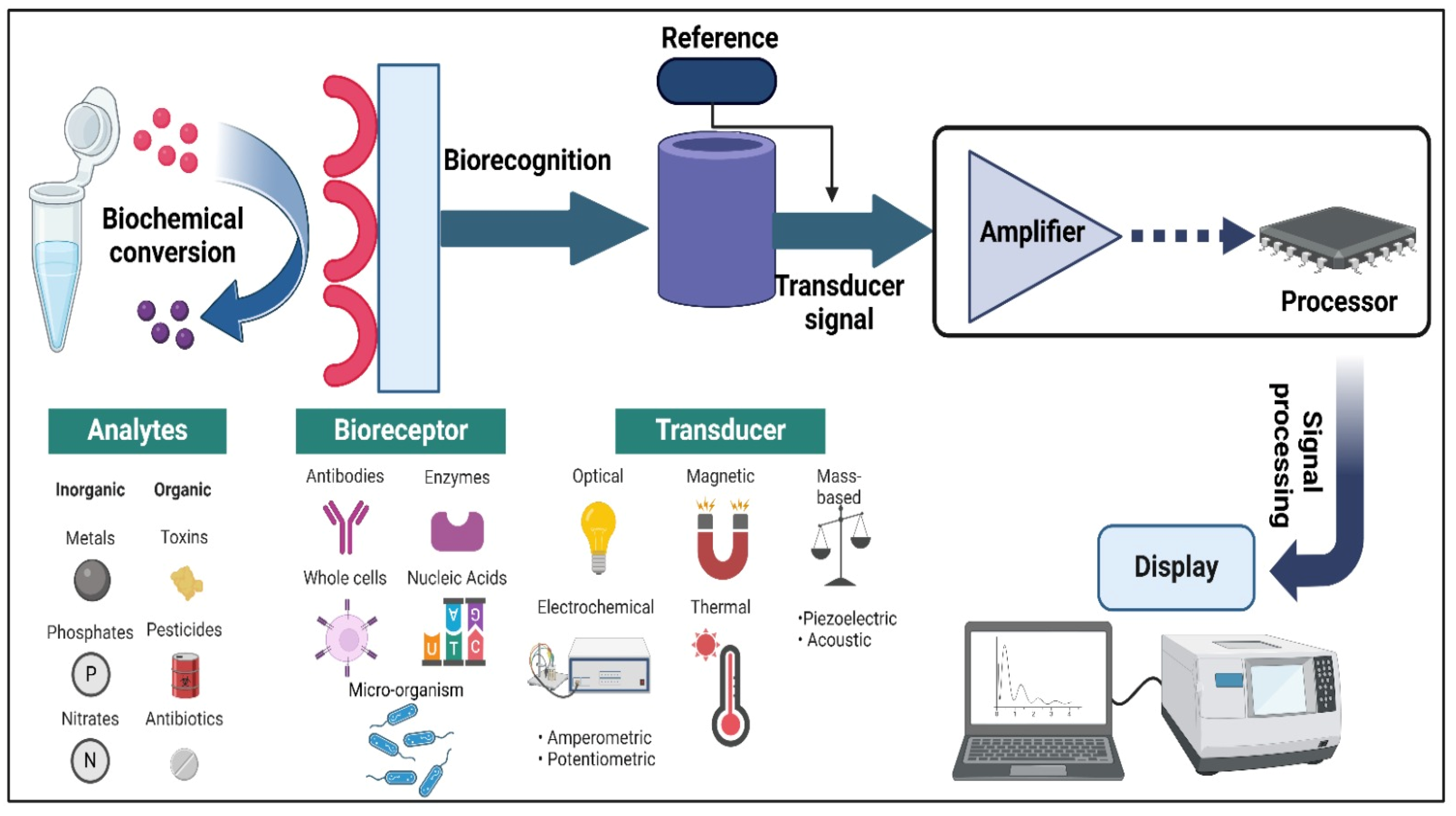 Sensors 24 05143 g002