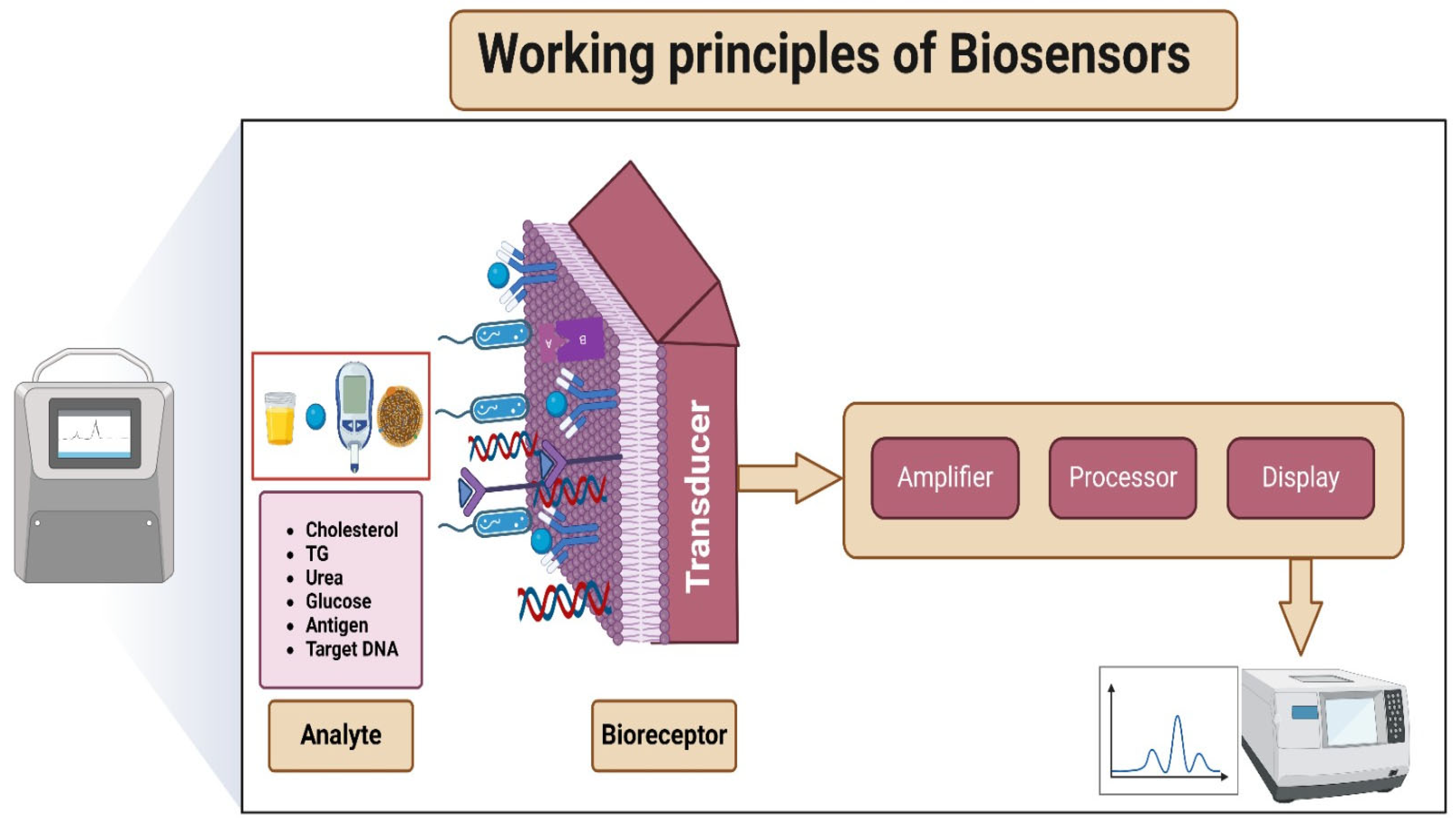 Sensors 24 05143 g003