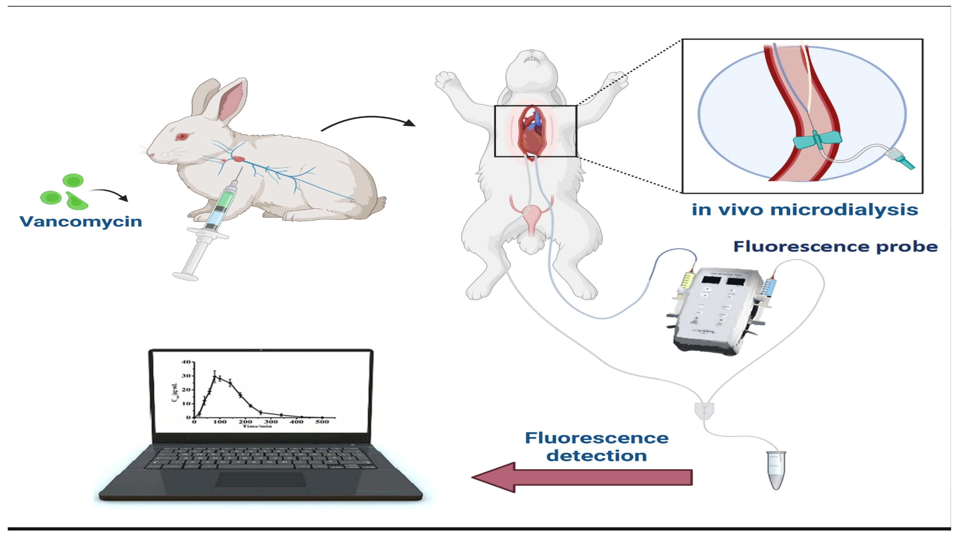 Sensors 24 05143 g005