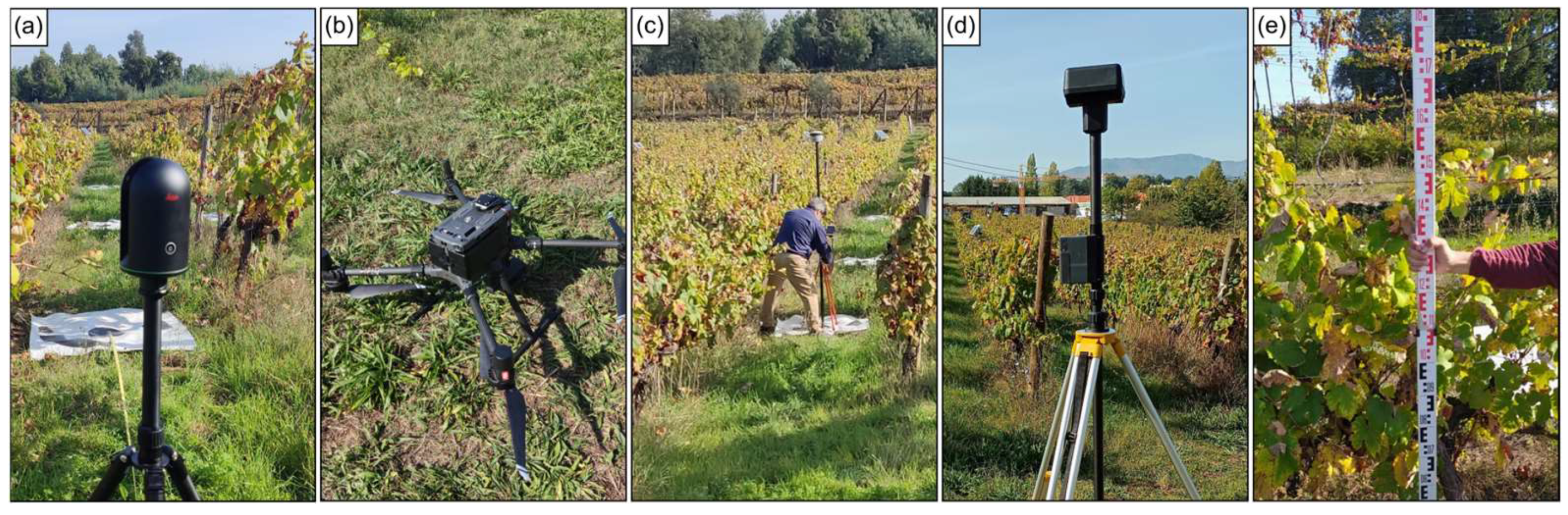 Sensors 24 05183 g002