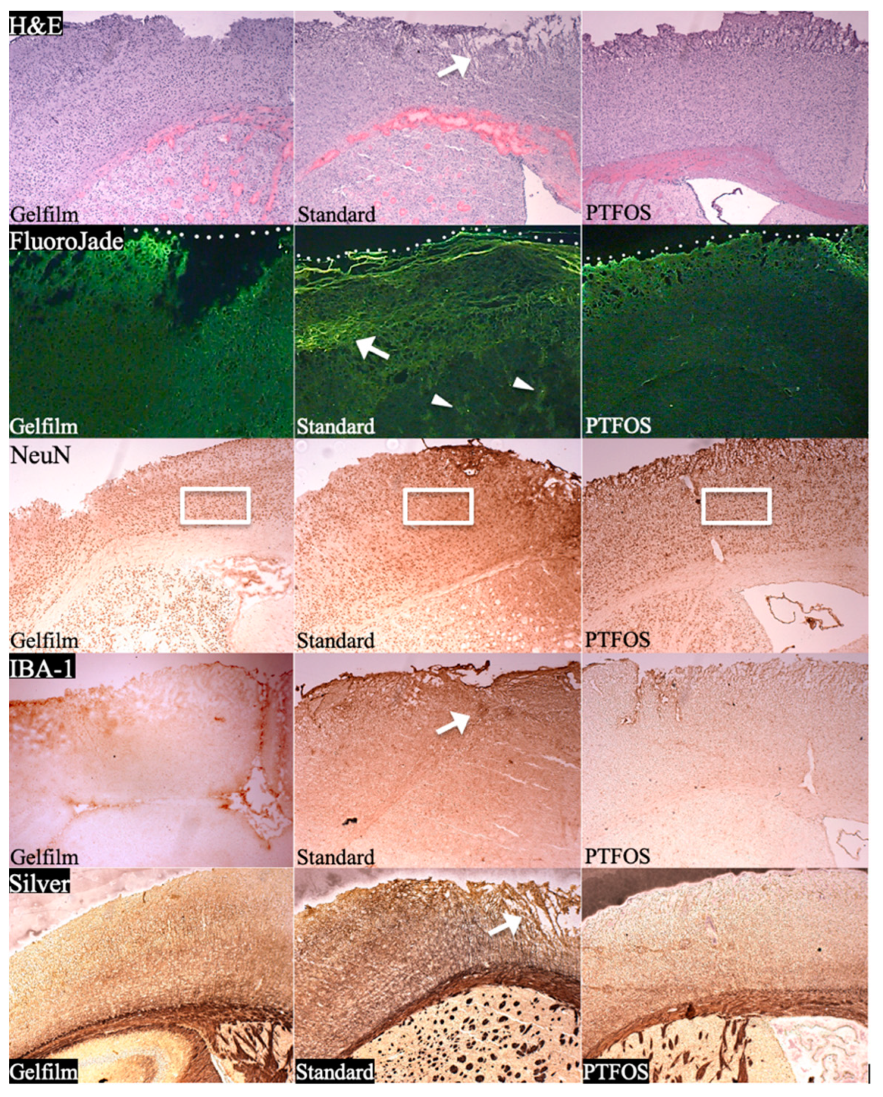 Sensors 24 05214 g014