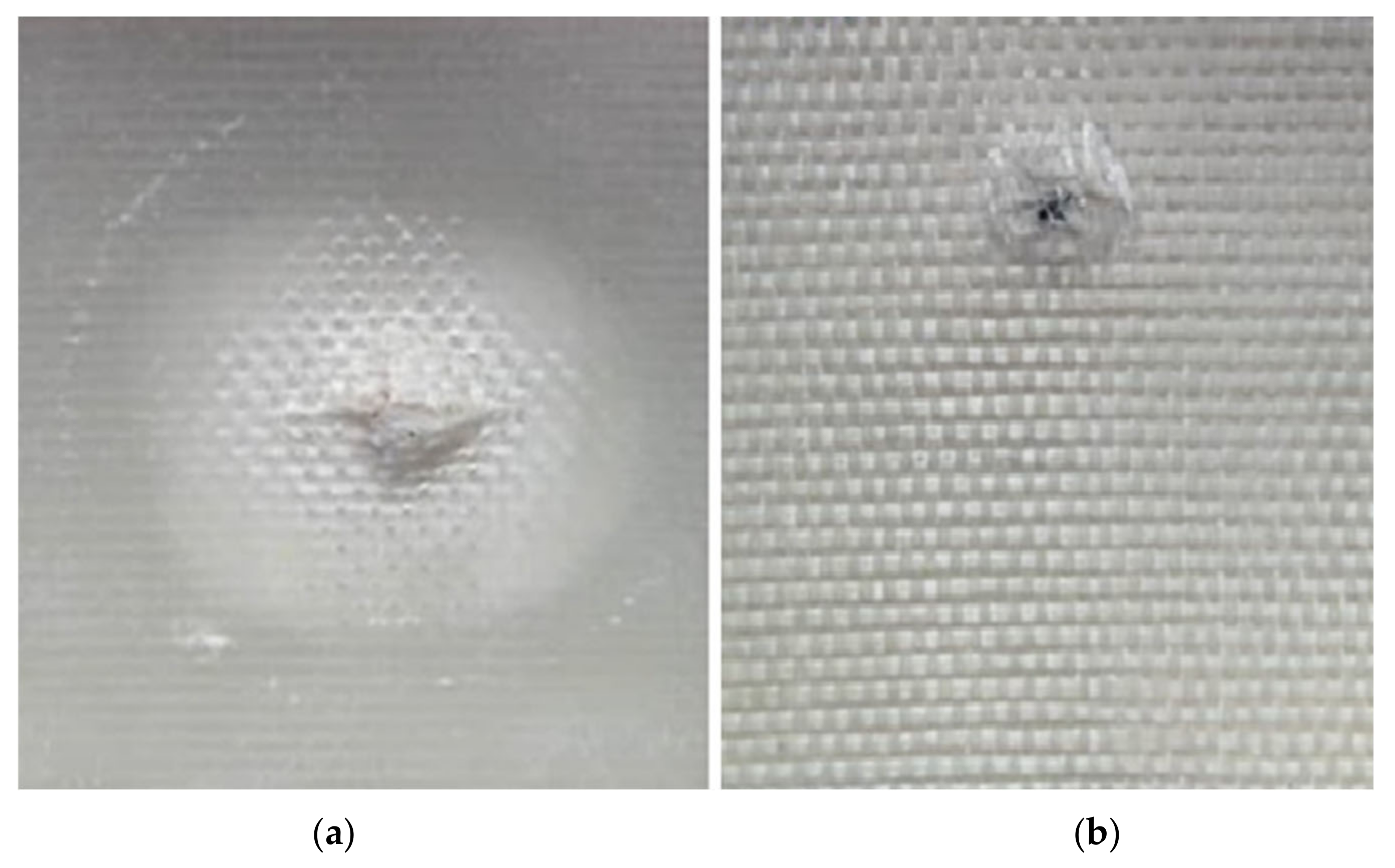 Sensors 24 05225 g003