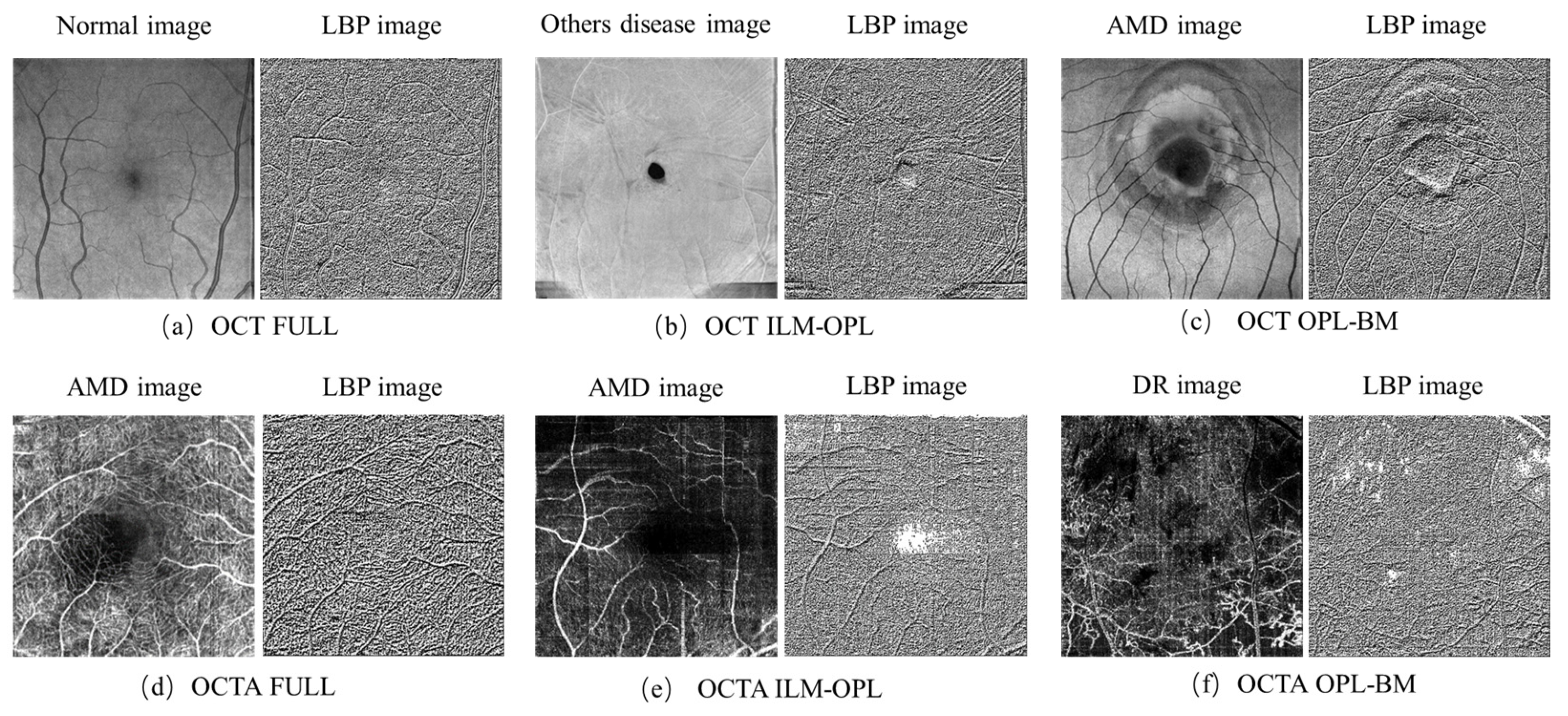 Sensors 24 05227 g003