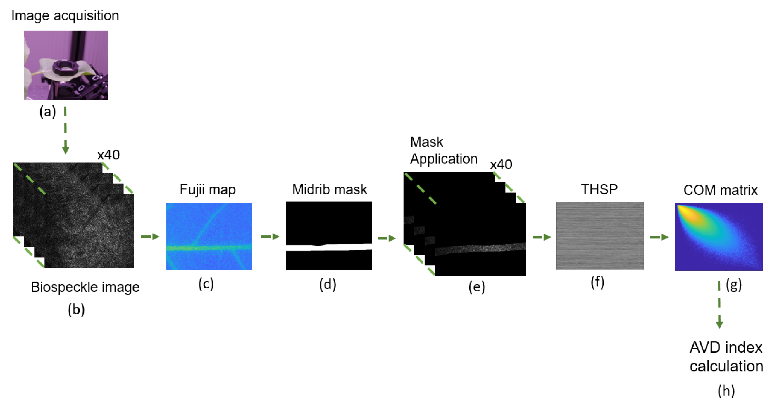 Sensors 24 05260 g003