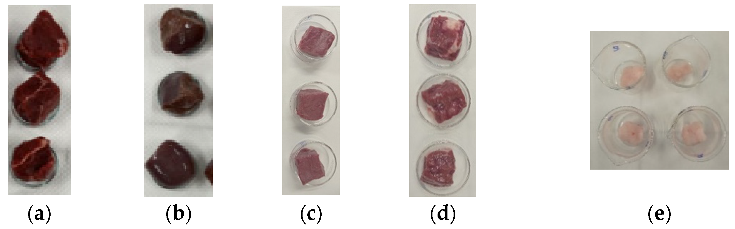 Sensors 24 05338 g001