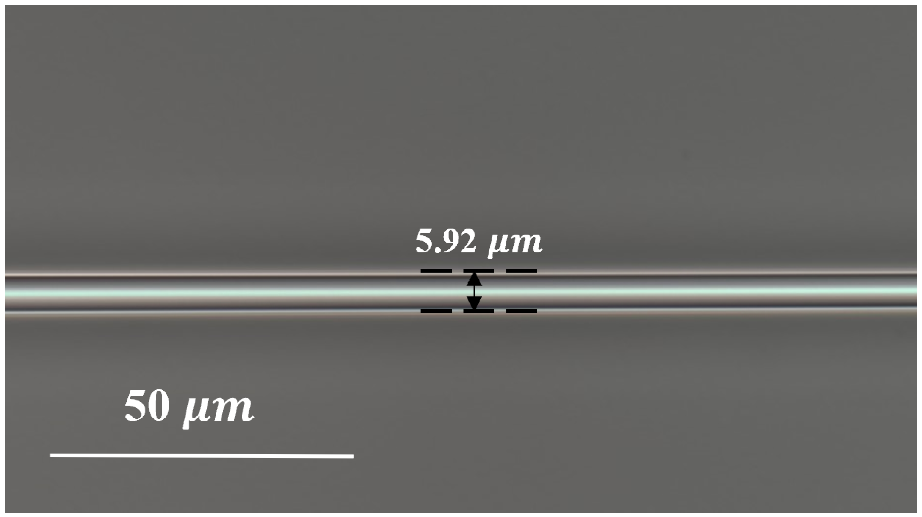 Sensors 24 05339 g002