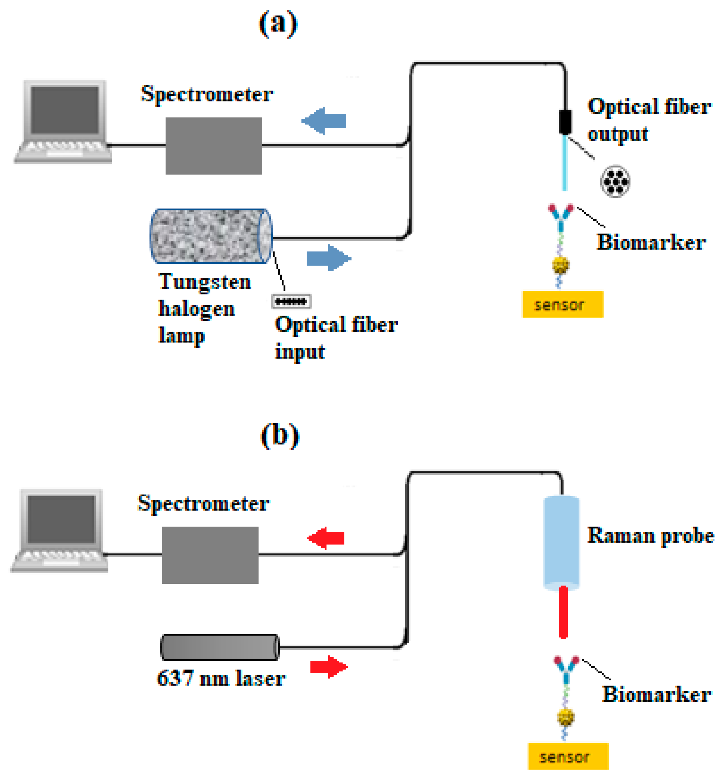 Sensors 24 05378 g002
