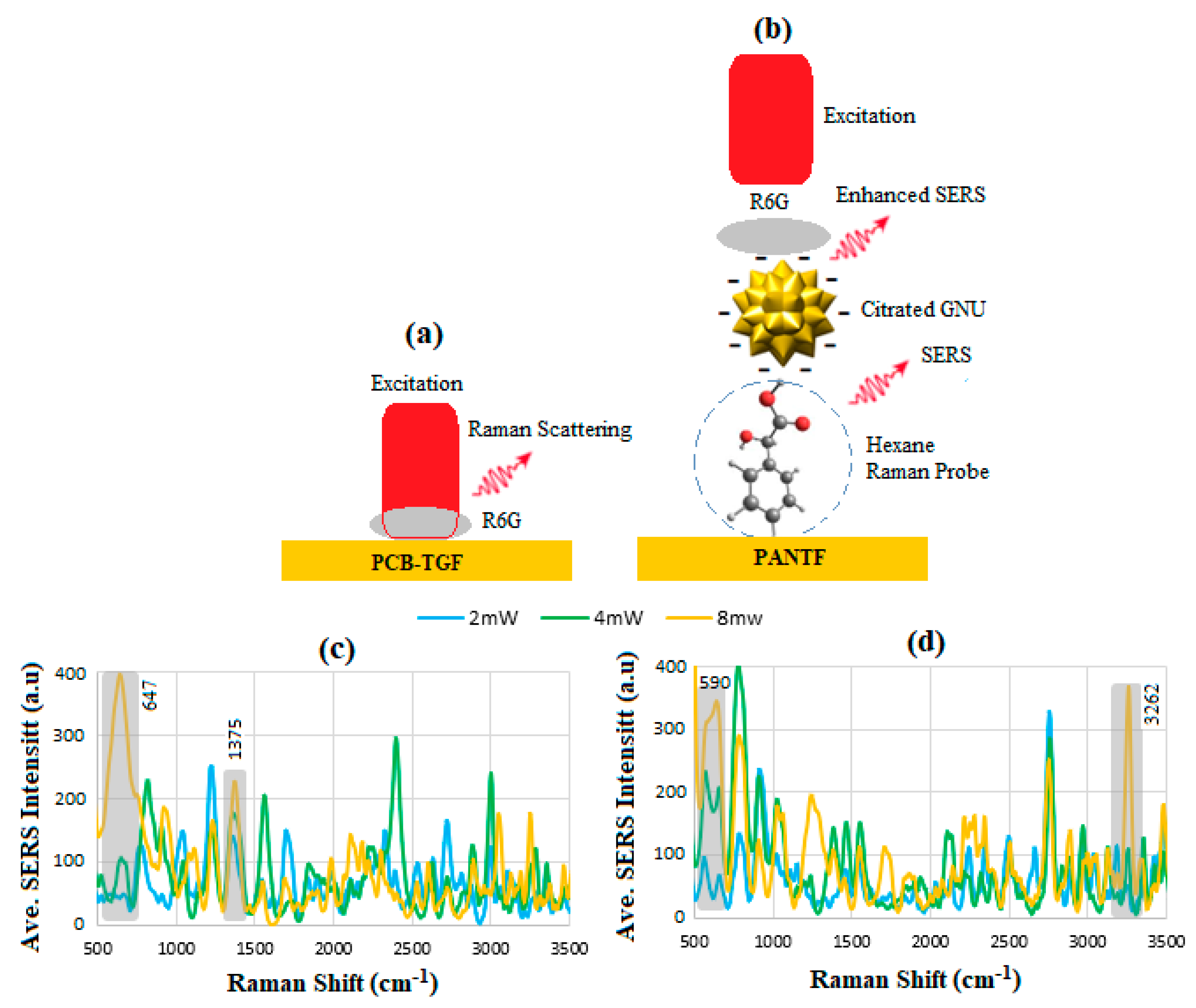 Sensors 24 05378 g007