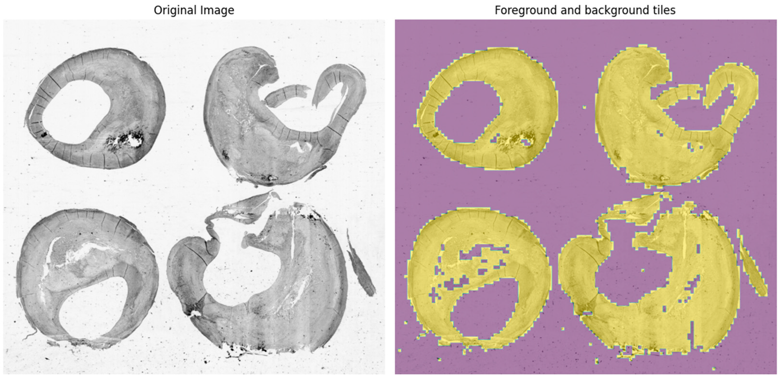 Sensors 24 05383 g002