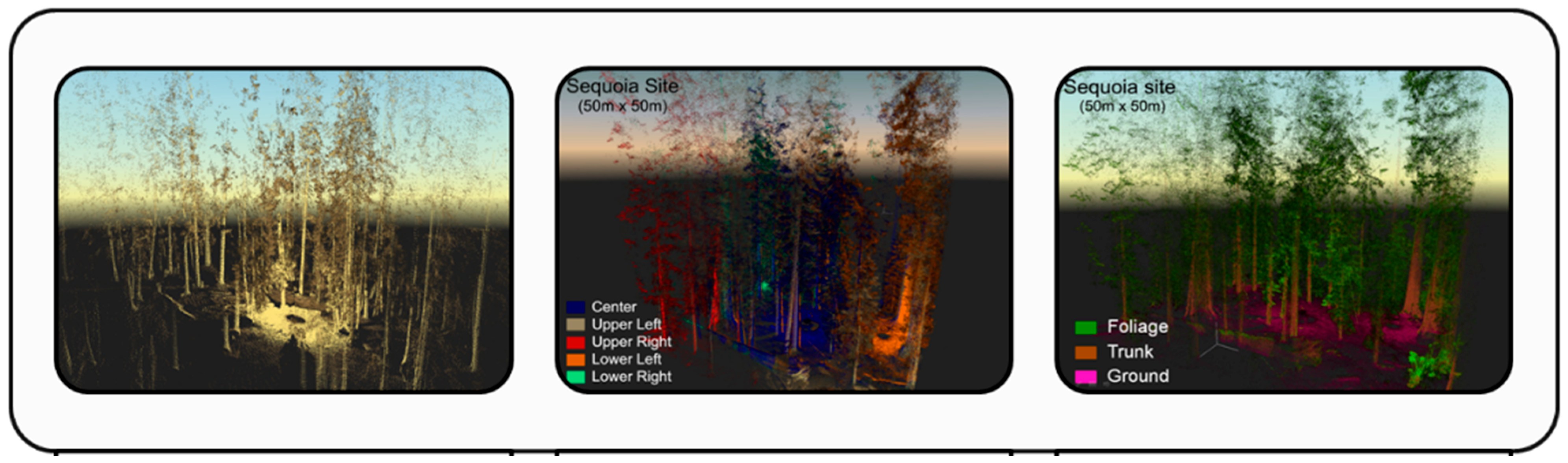 Sensors 24 05409 g005