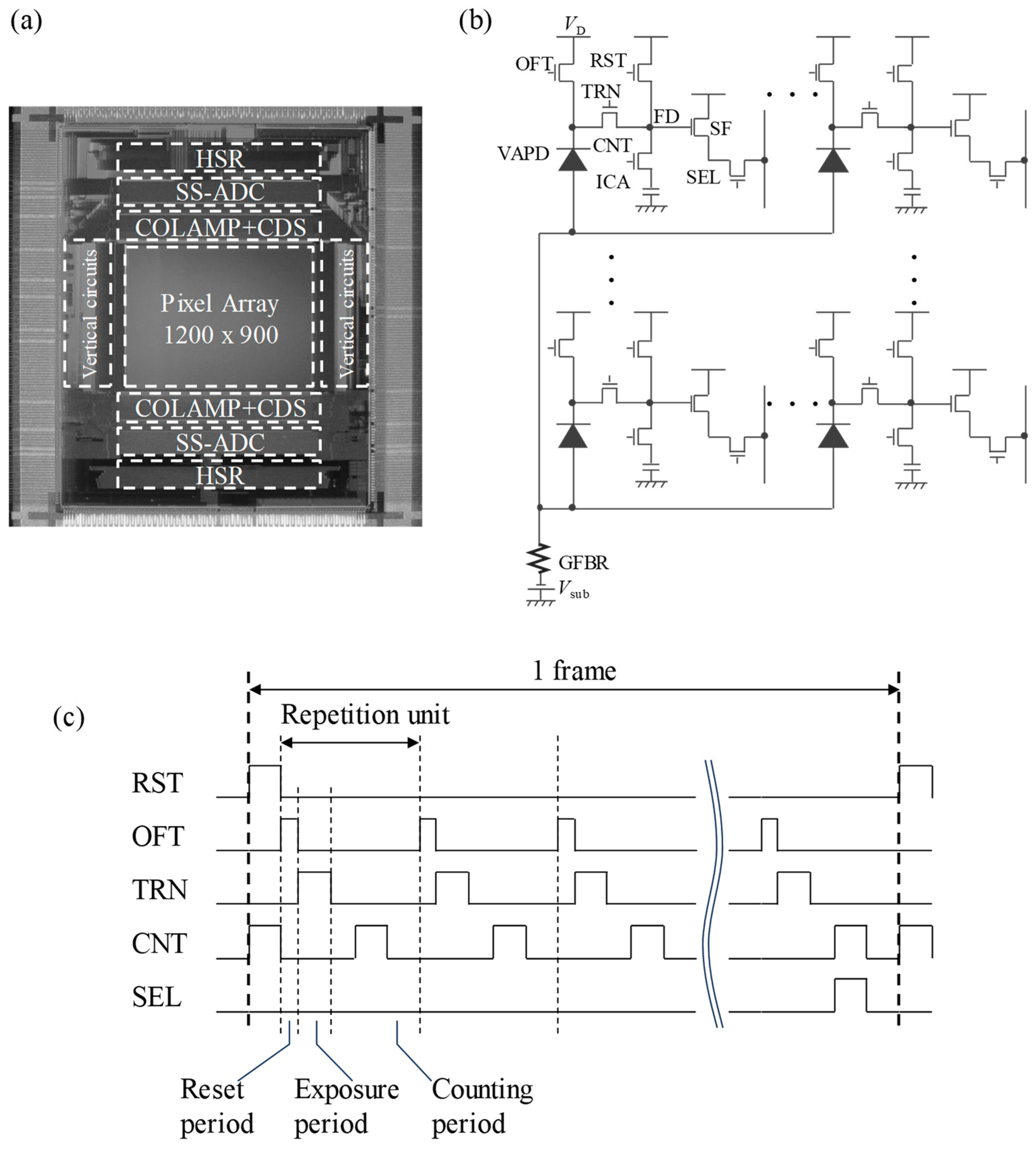 Sensors 24 05414 g002