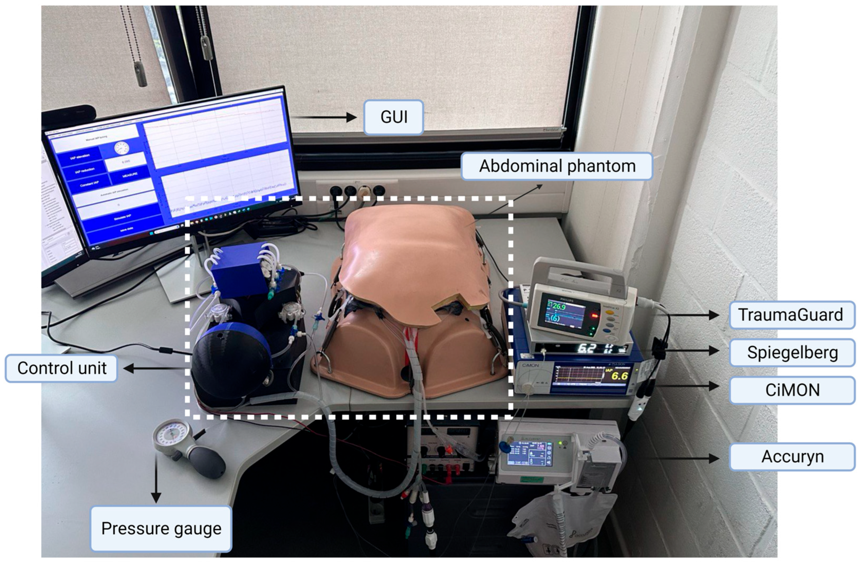 Sensors 24 05431 g004