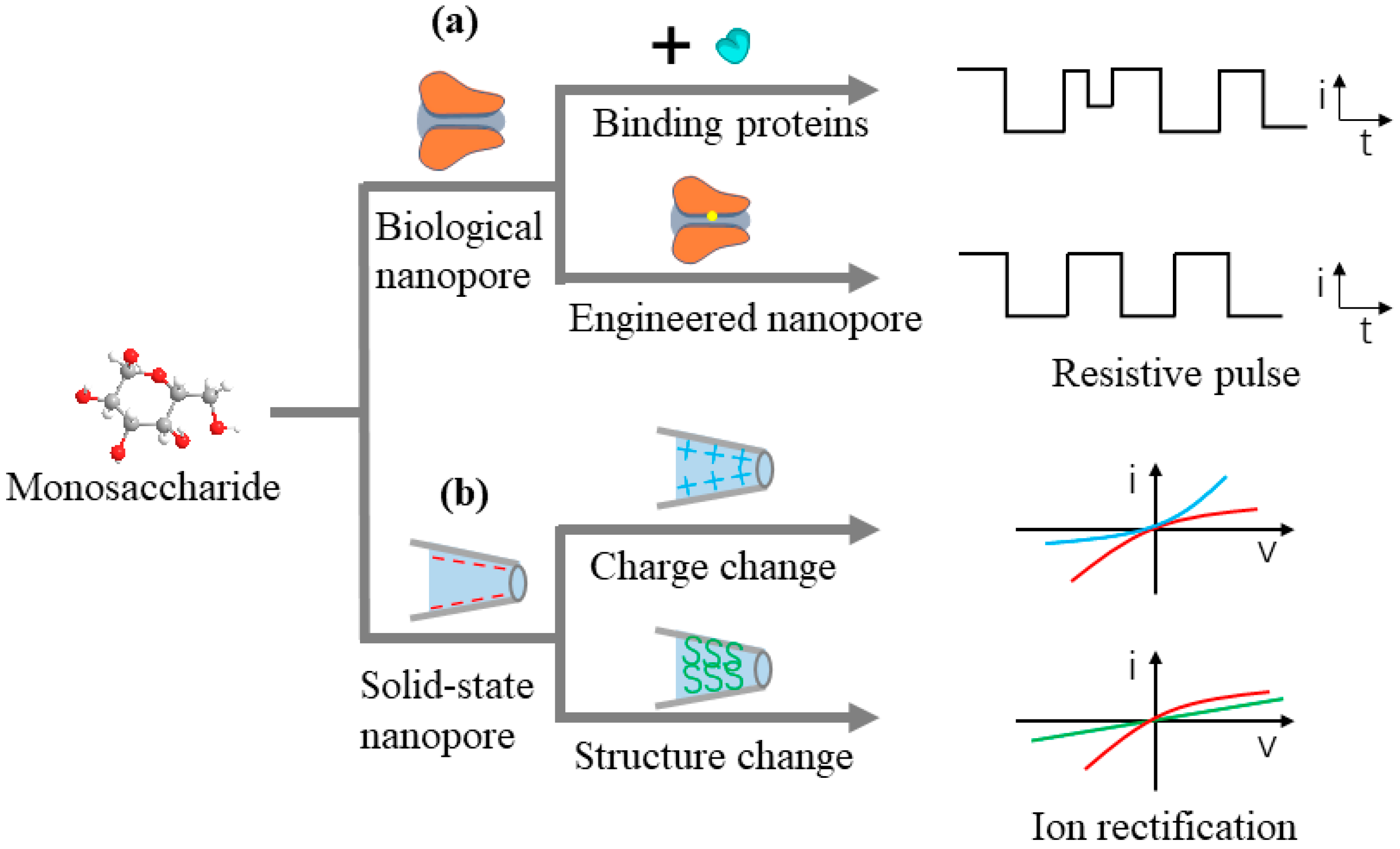 Sensors 24 05442 g003