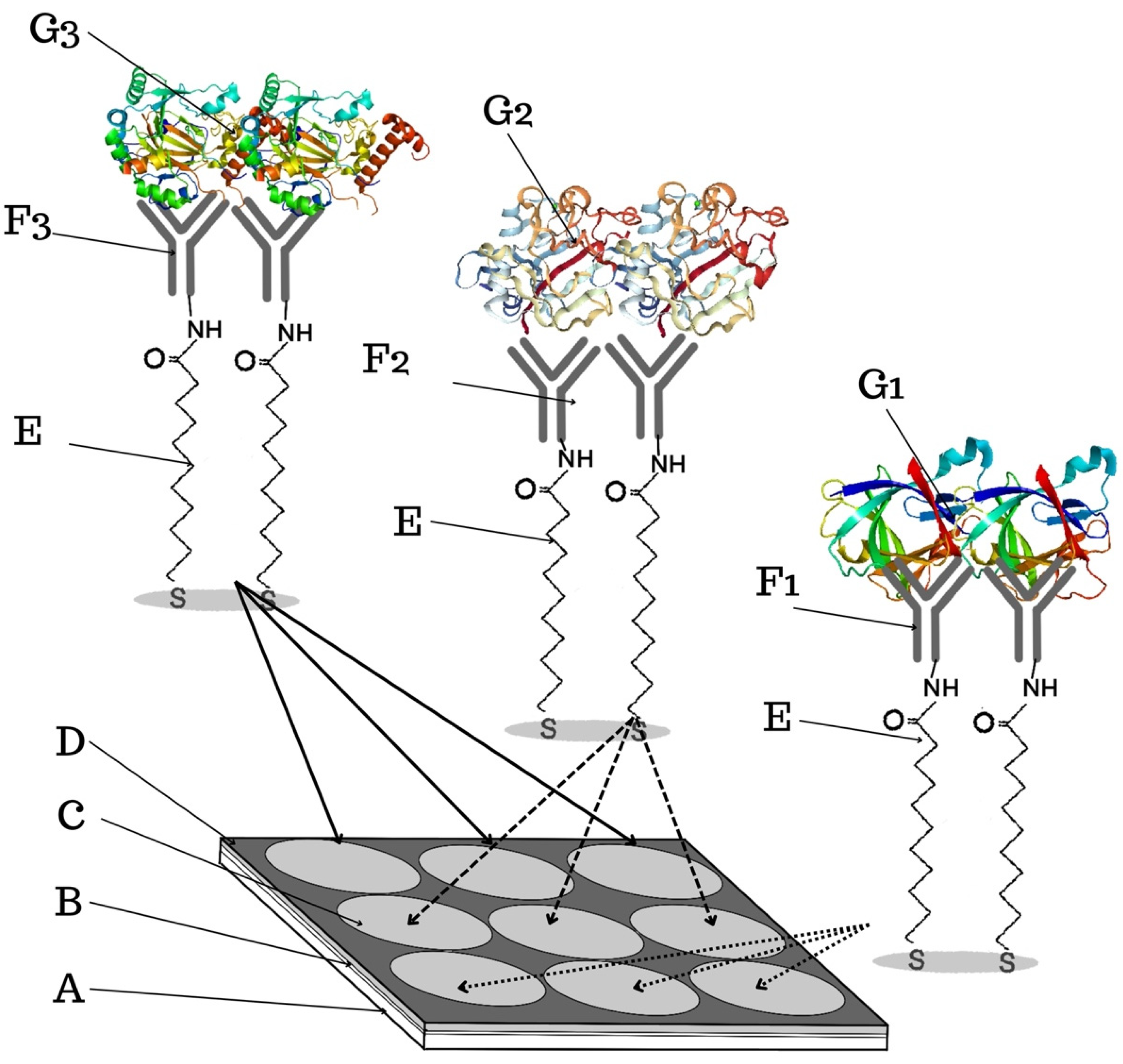 Sensors 24 05481 g005