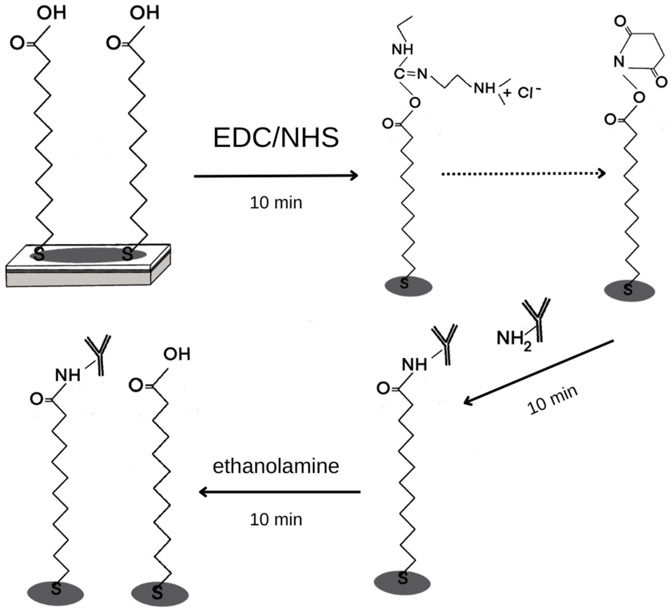 Sensors 24 05481 g0a1