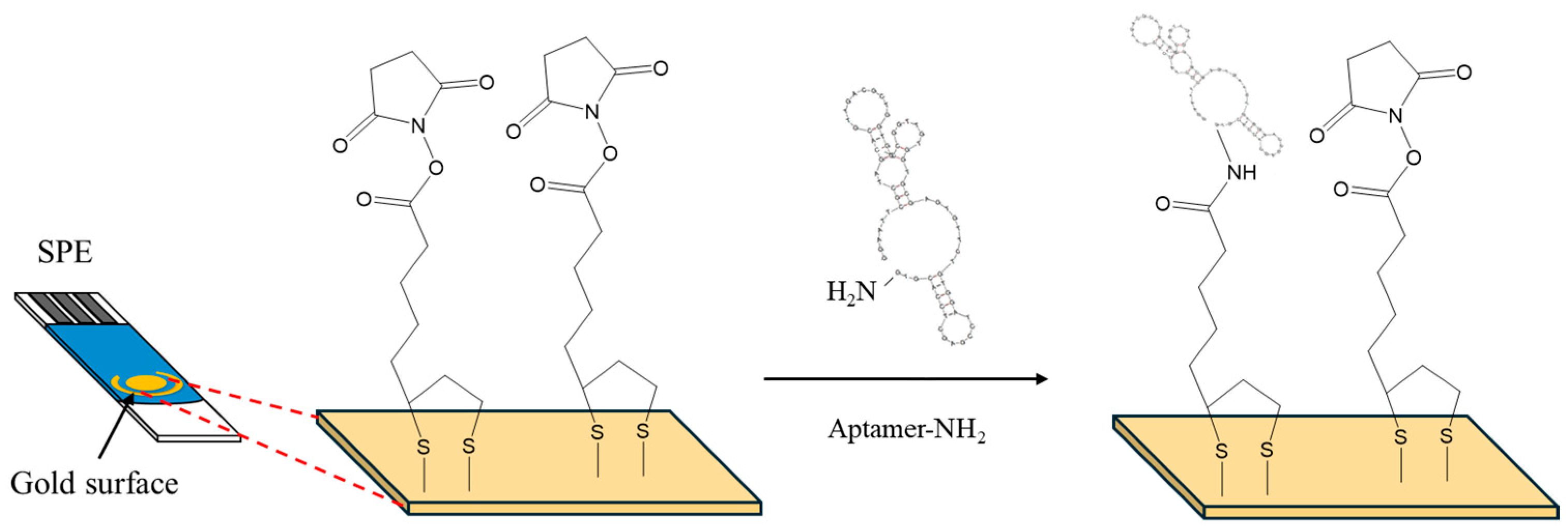 Sensors 24 05488 g001 Sensors 24 05488 g001