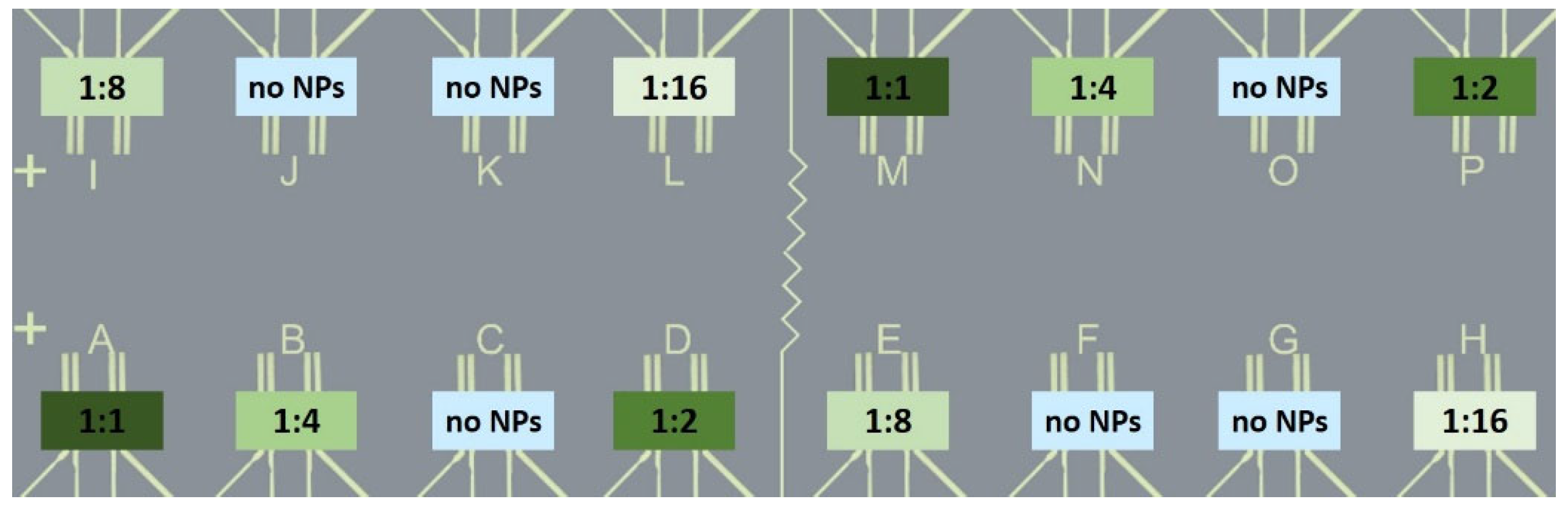 Sensors 24 05565 g004 Sensors 24 05565 g004