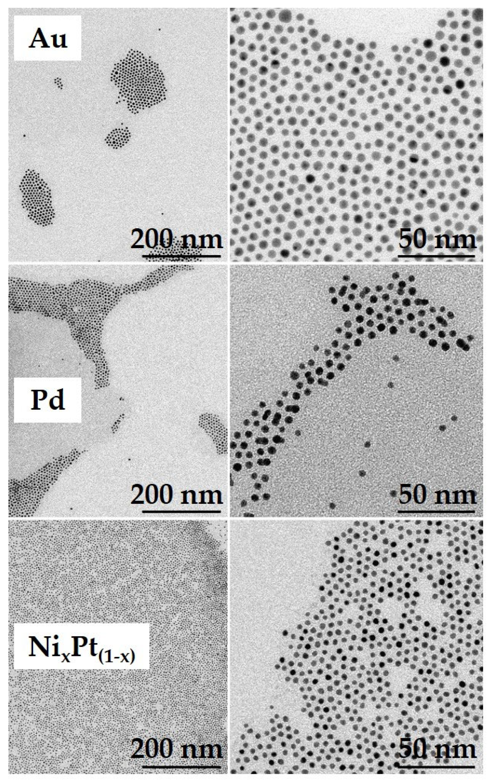 Sensors 24 05565 g006 Sensors 24 05565 g006