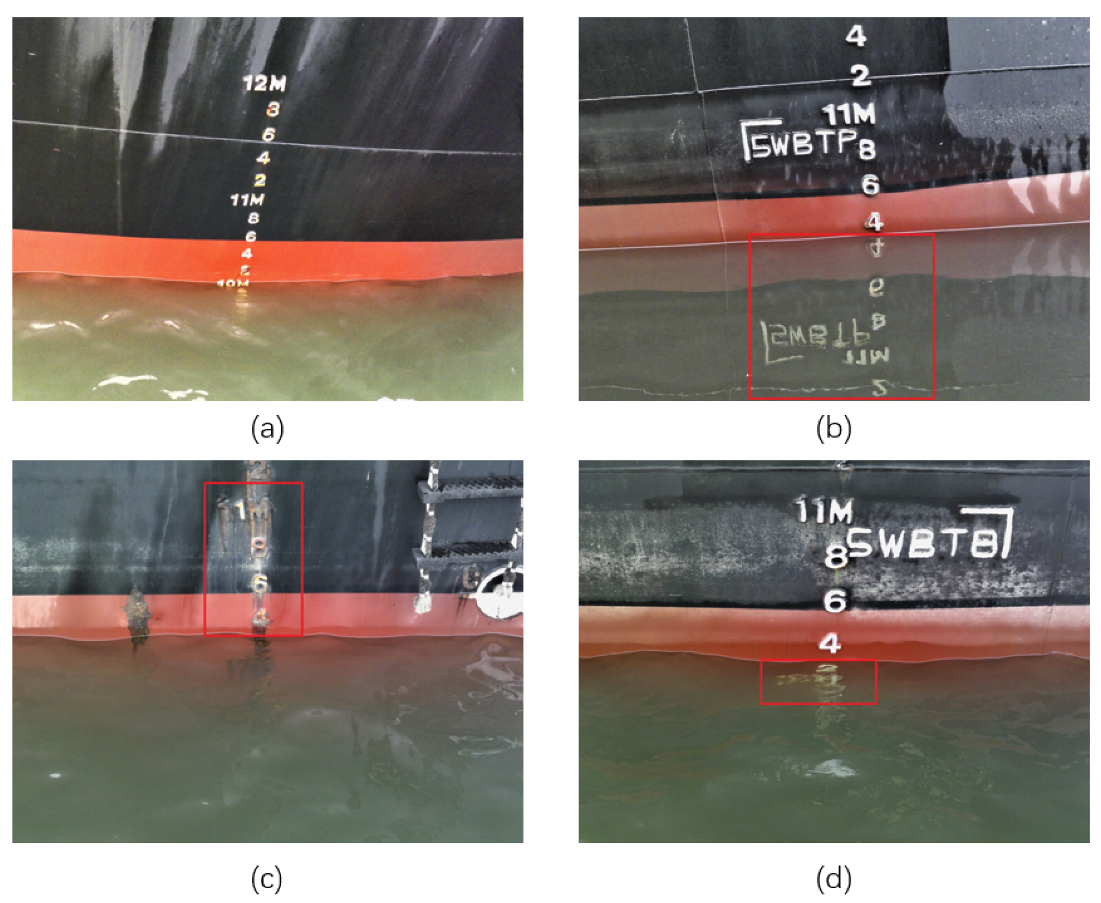 Sensors 24 05580 g001