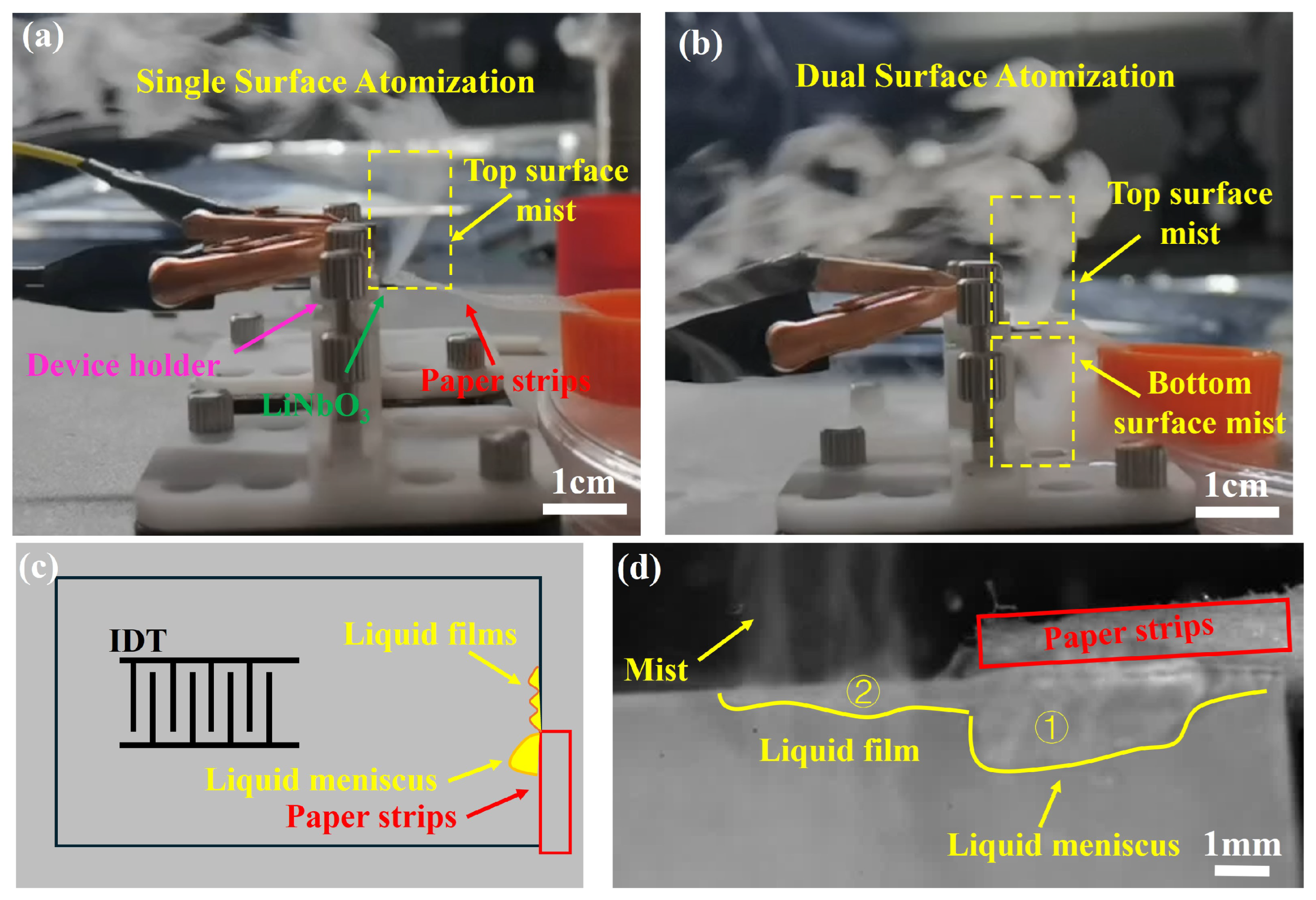 Sensors 24 05607 g006