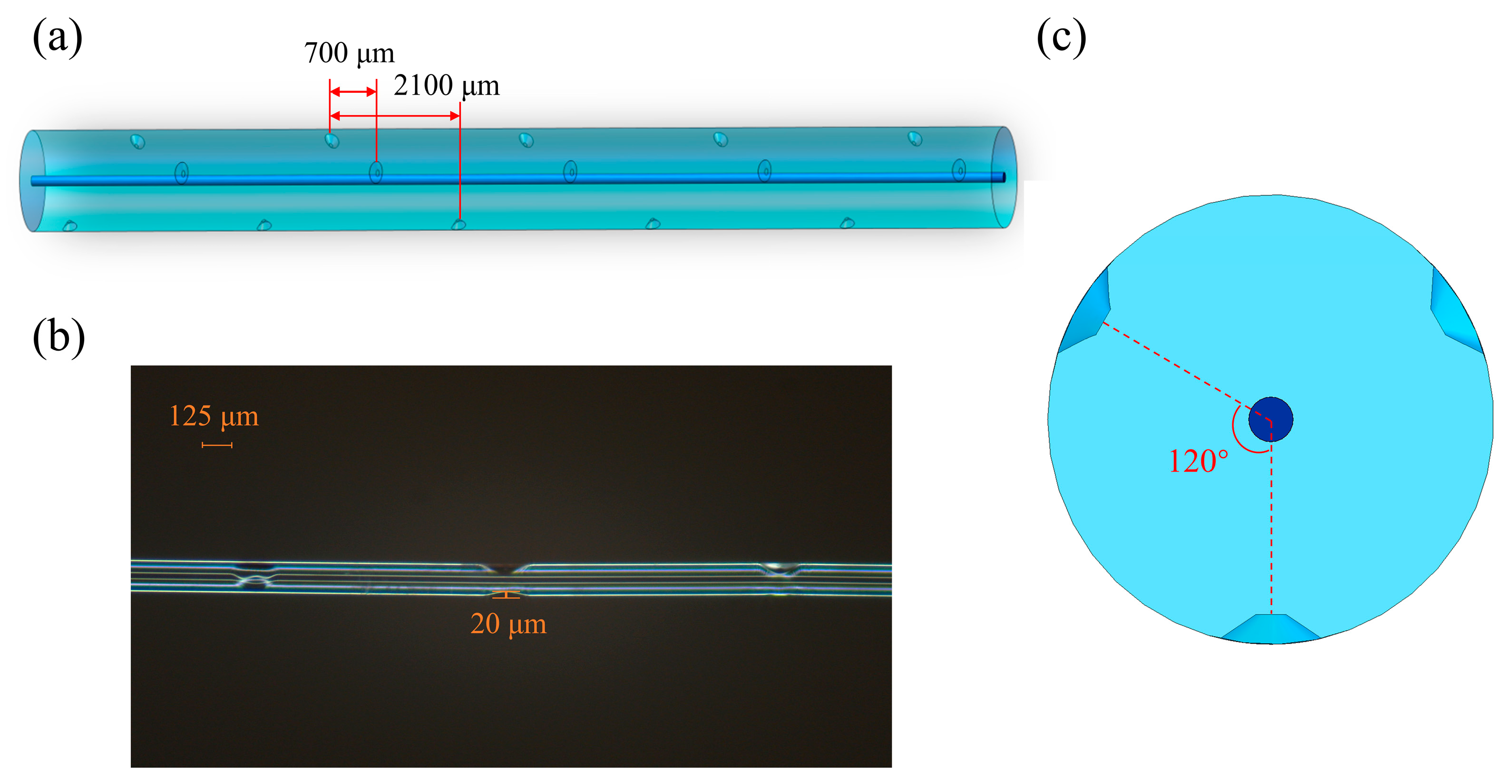 Sensors 24 05621 g002
