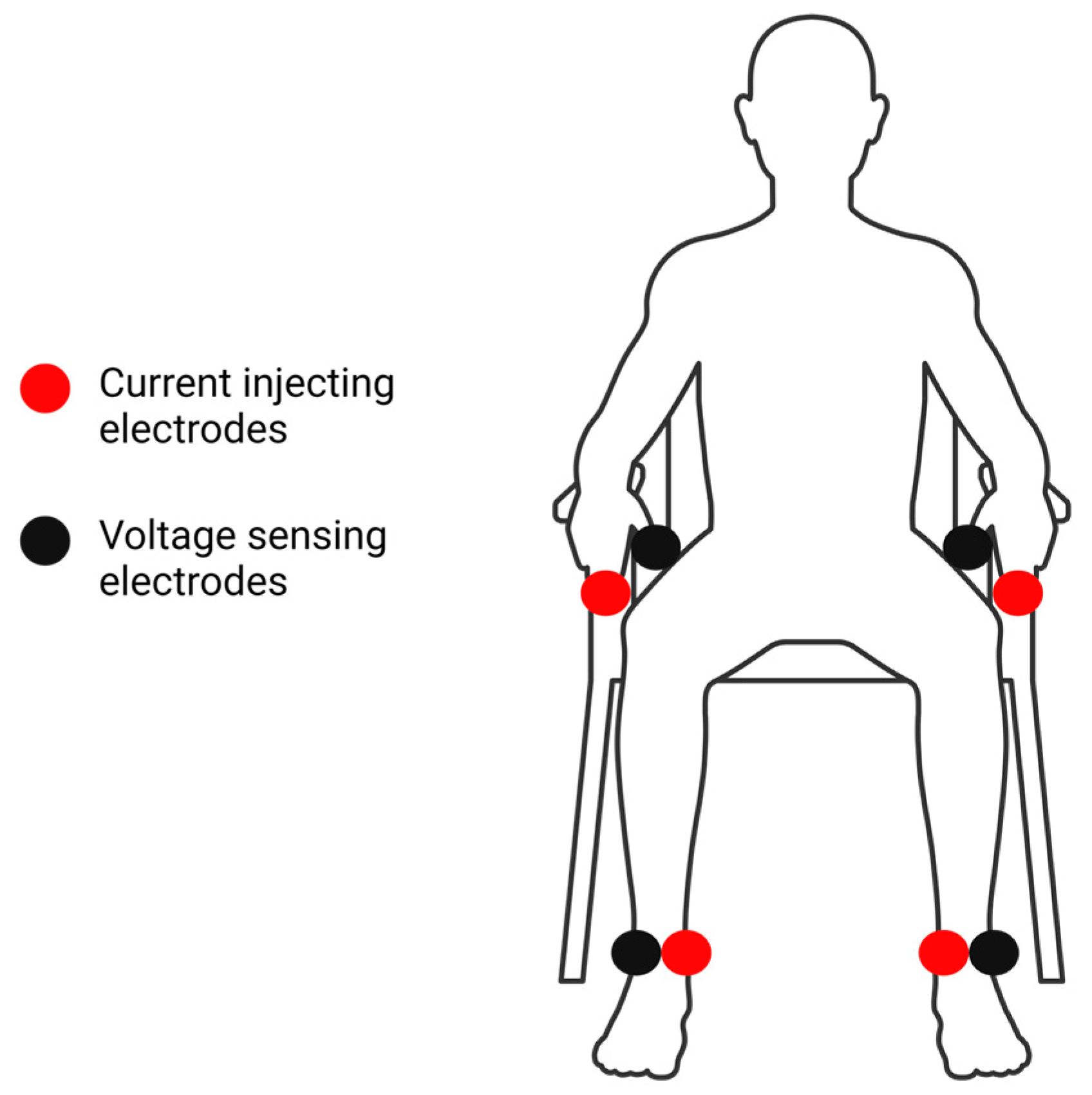Sensors 24 05626 g002