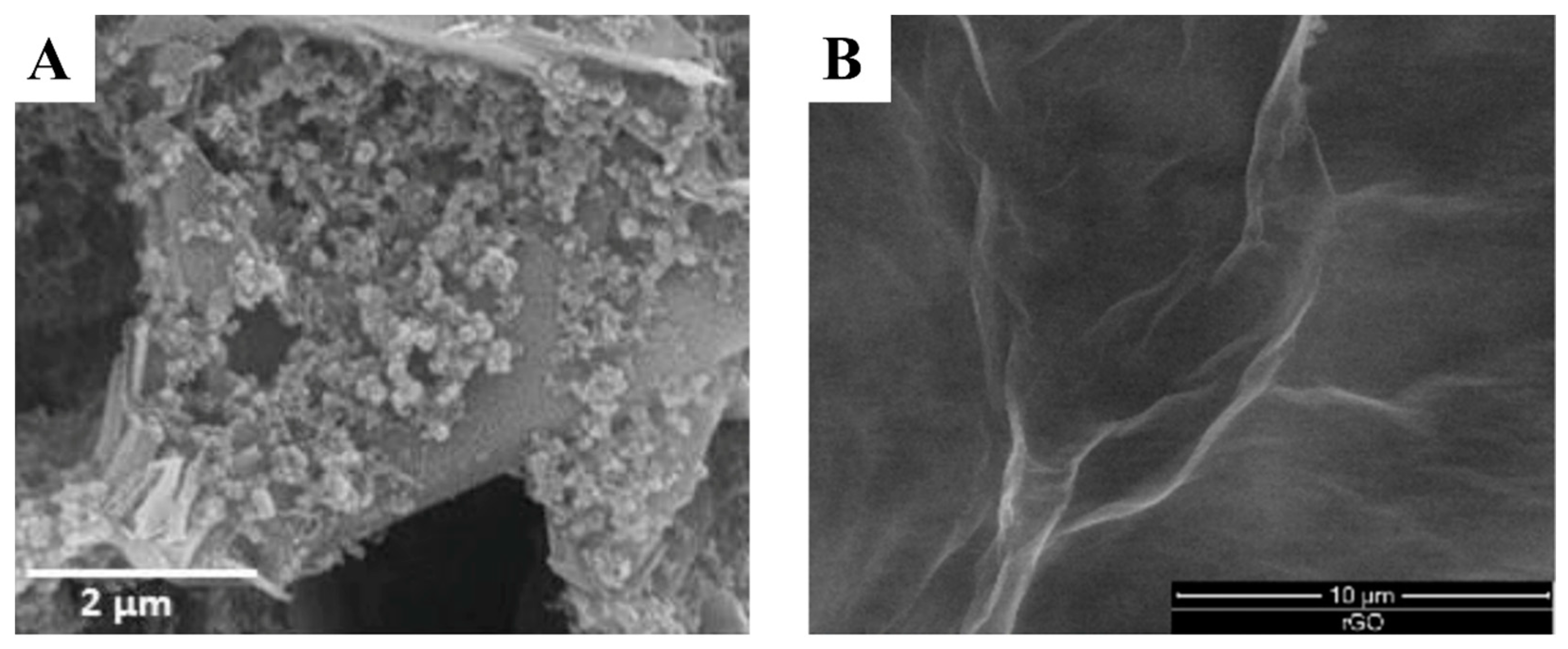 Sensors 24 05679 g003