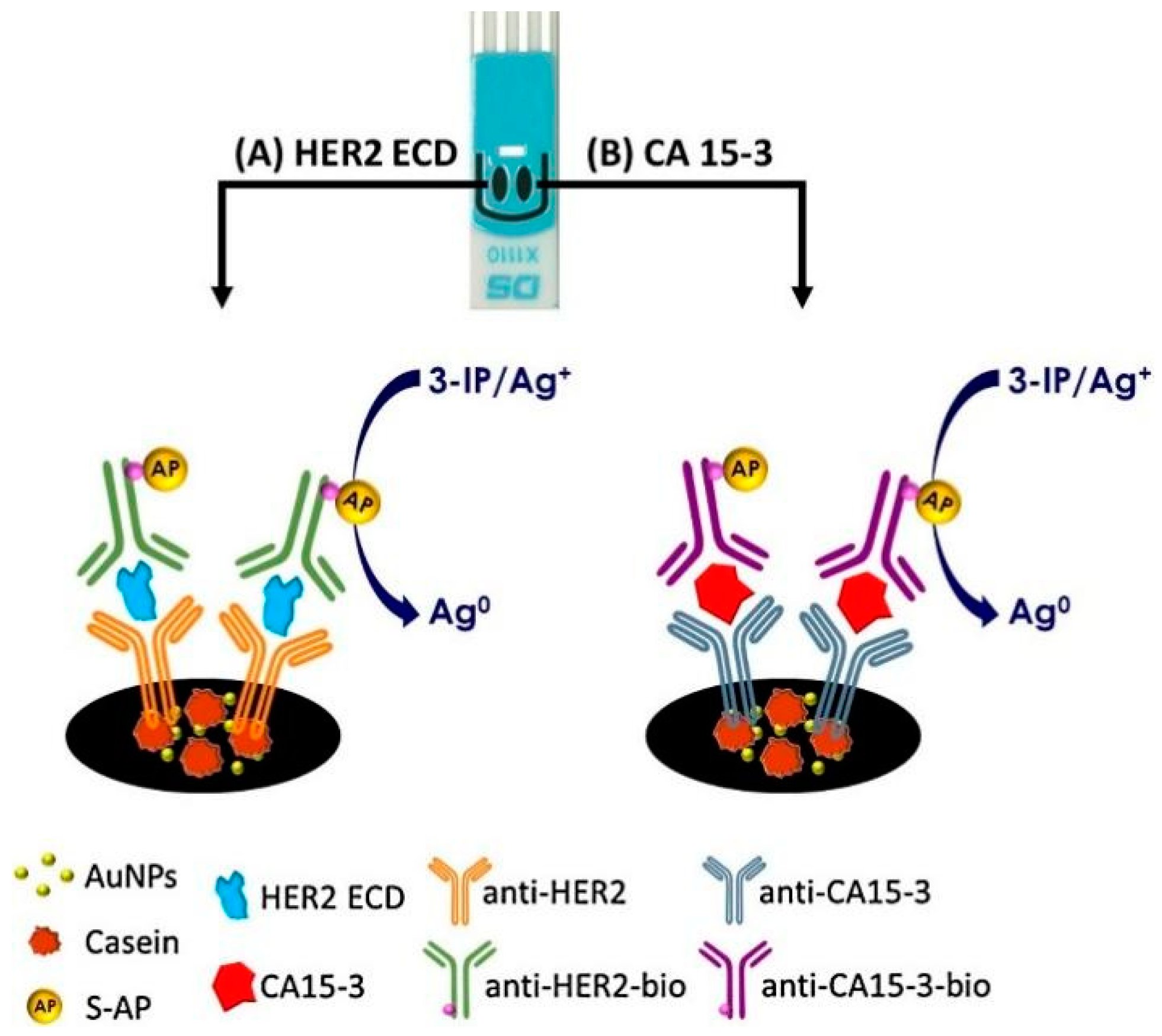 Sensors 24 05679 g007