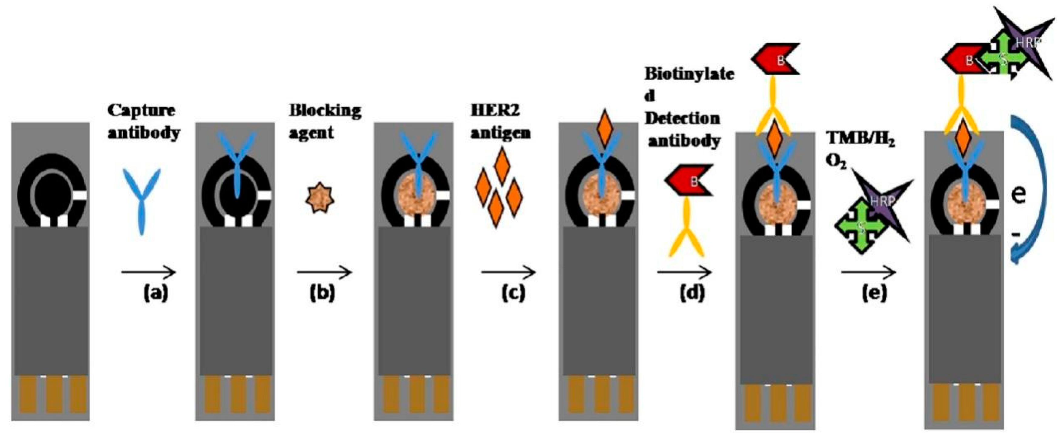 Sensors 24 05679 g008