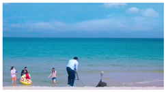 Sensors 24 05681 i003