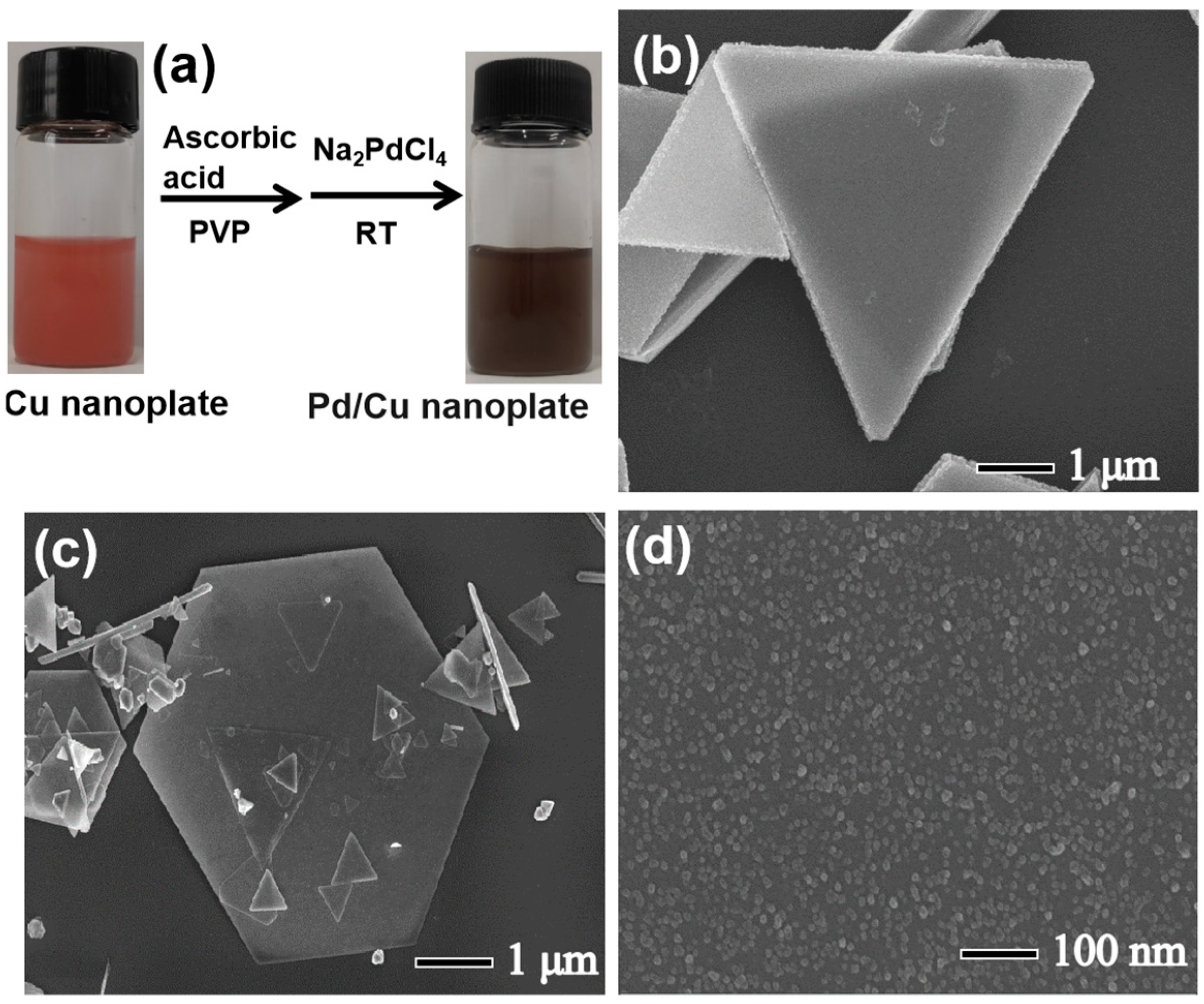 Sensors 24 05702 g002