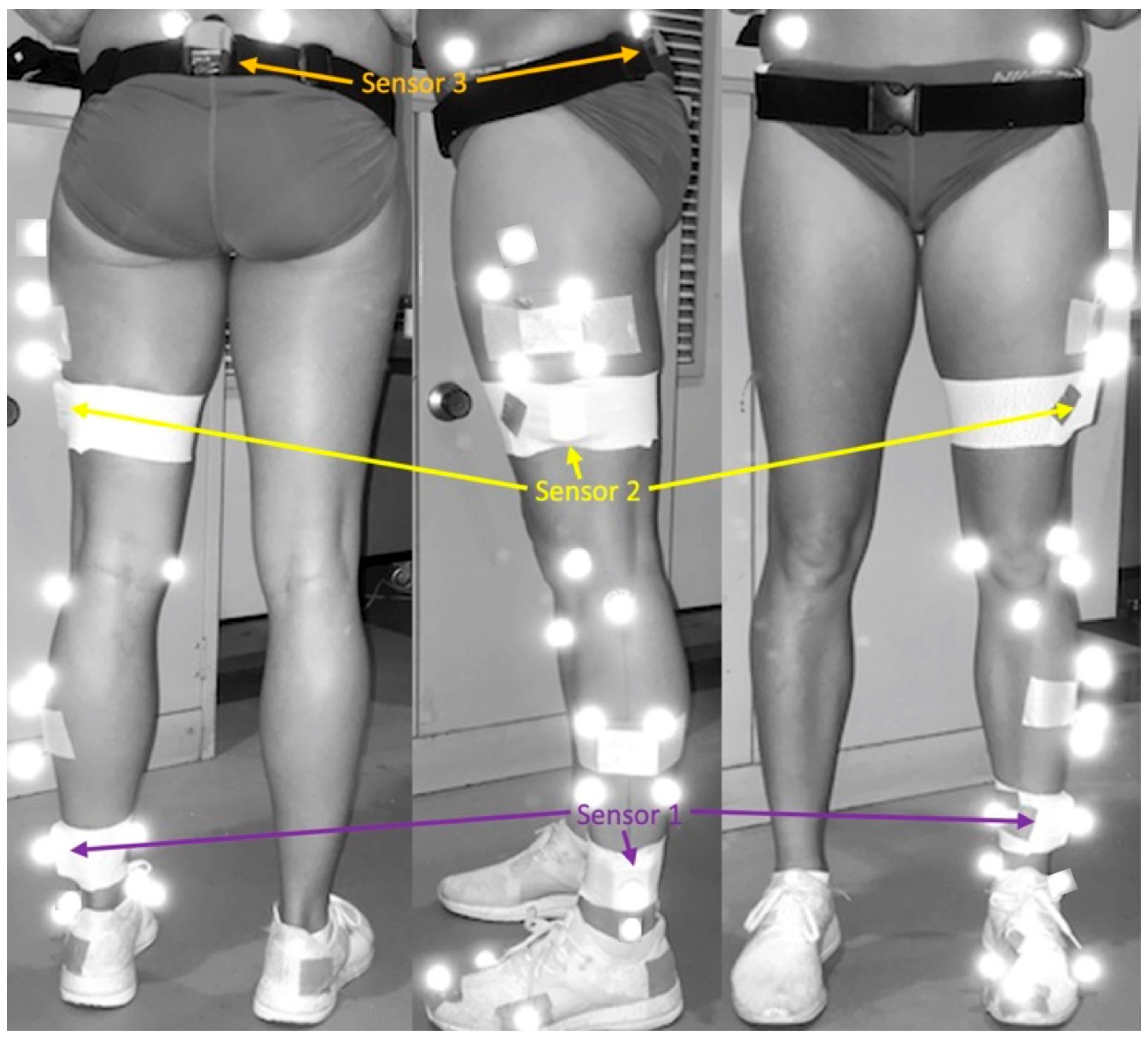 Sensors 24 05718 g001