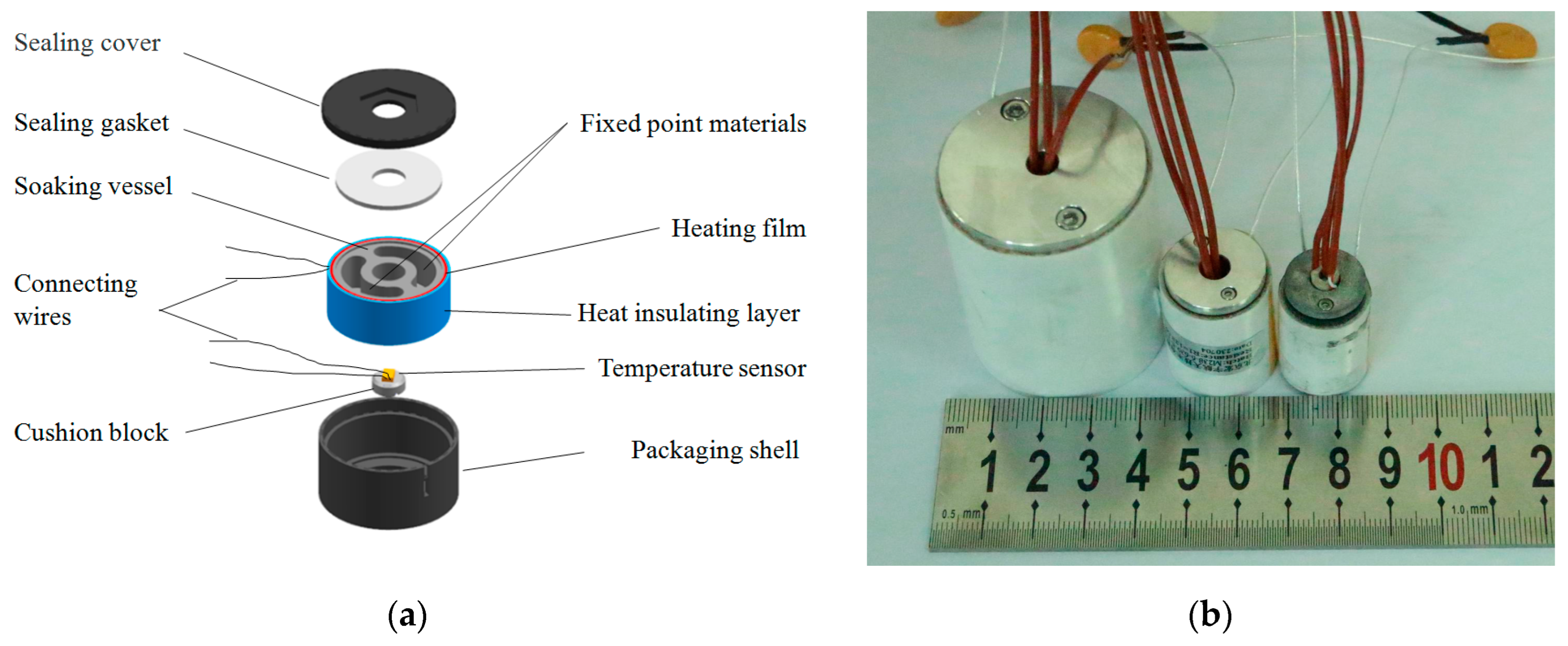 Sensors 24 05744 g002
