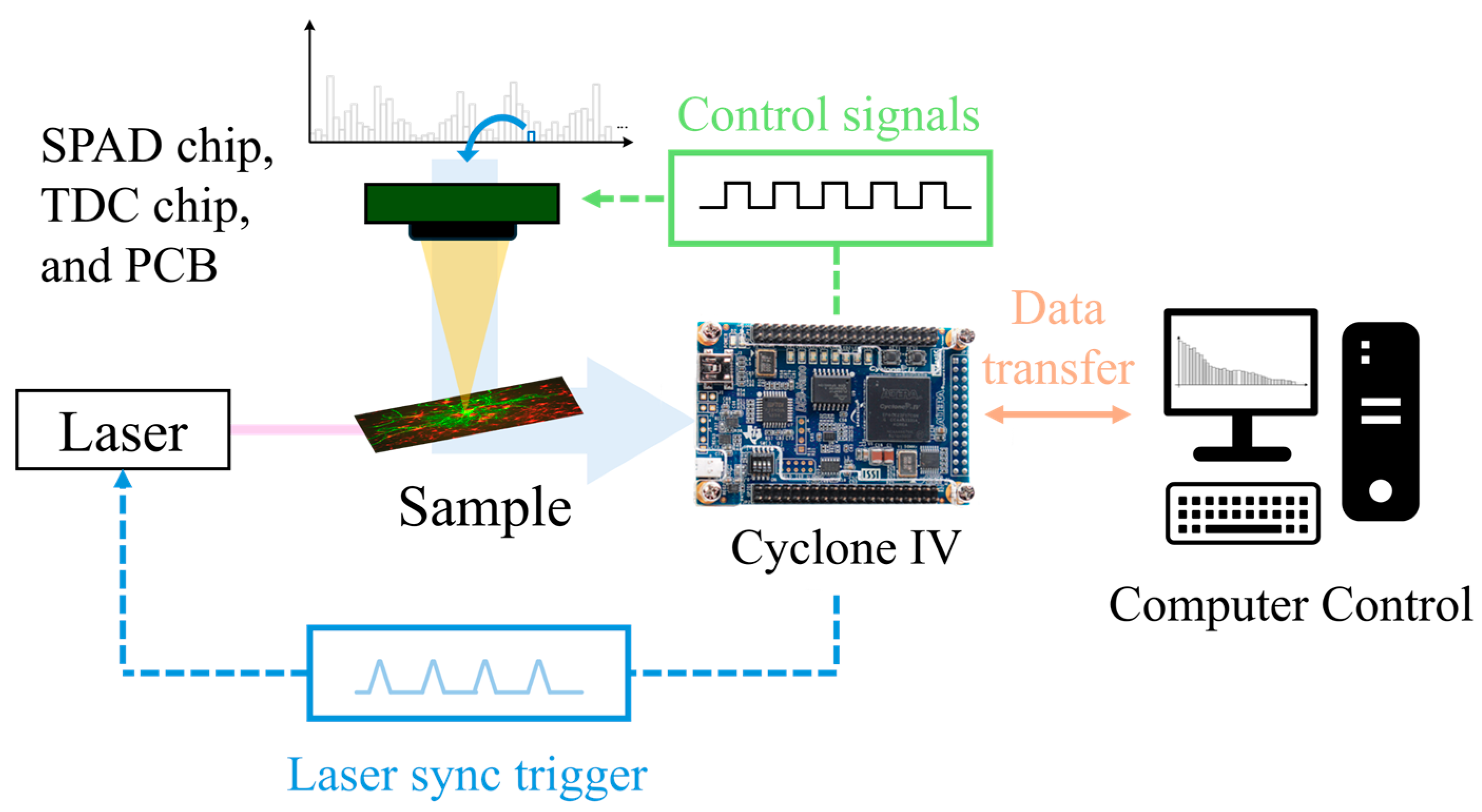Sensors 24 05763 g008