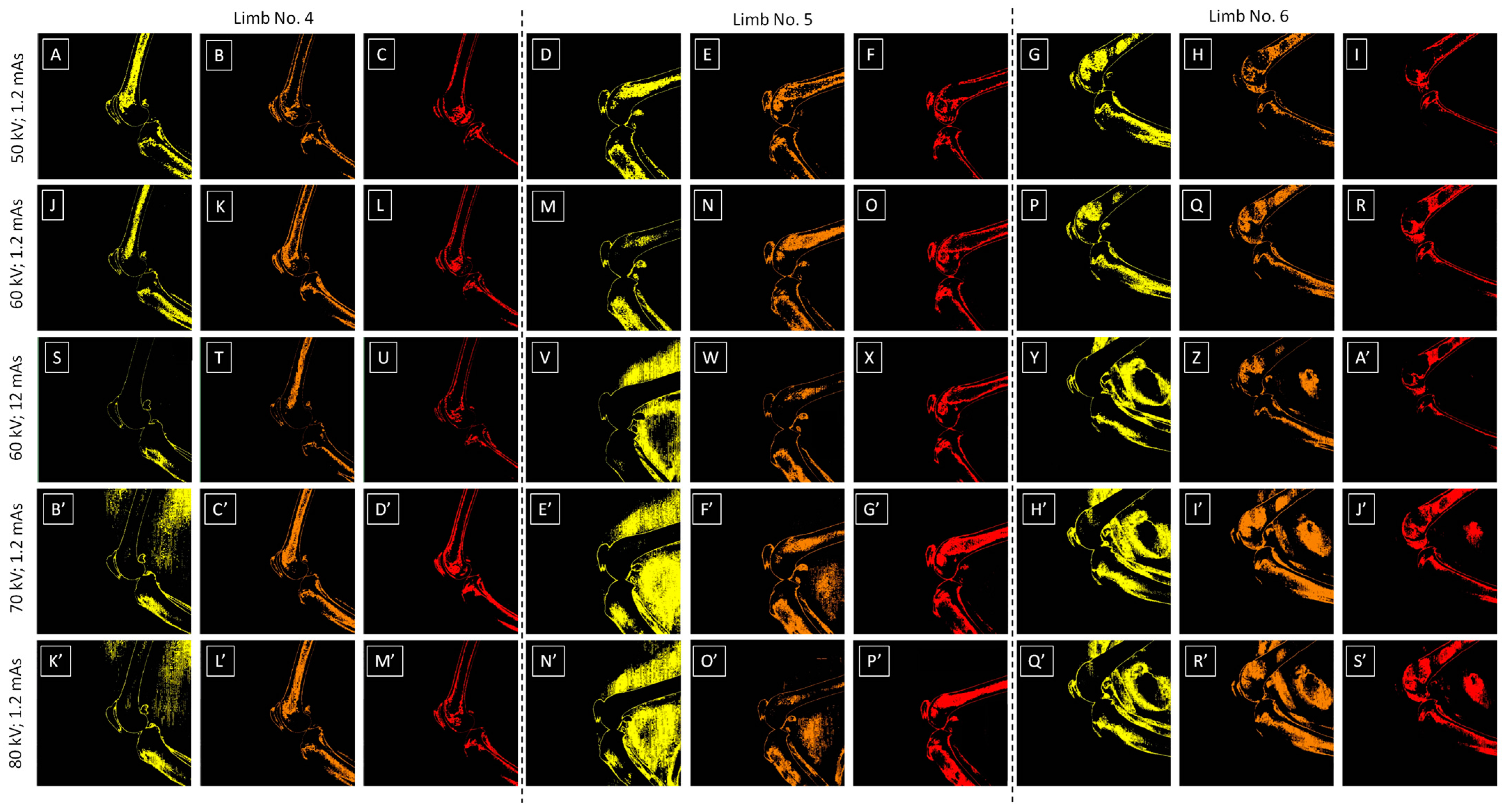 Sensors 24 05774 g006